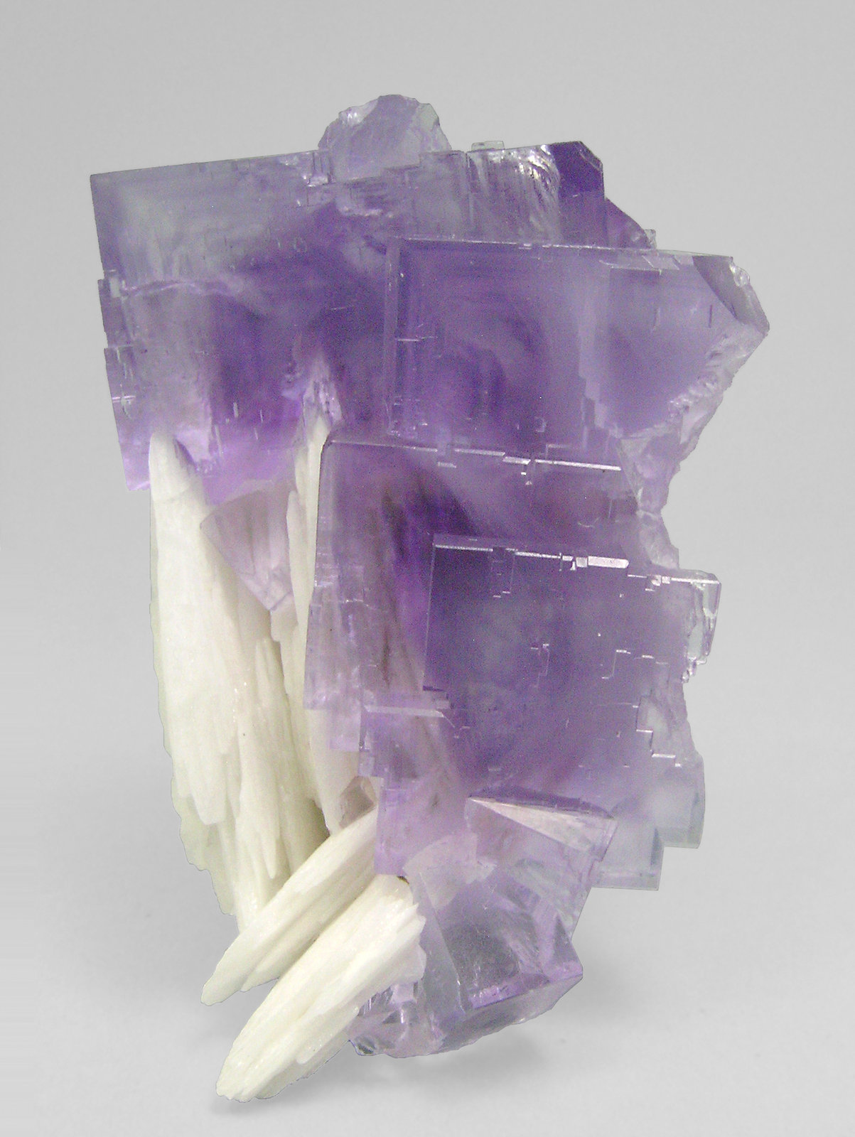 specimens/s_imagesP1/Fluorite-NA66P1f.jpg