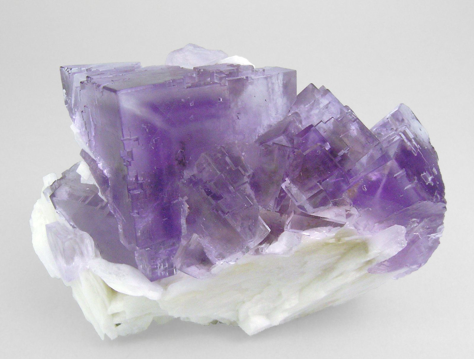 specimens/s_imagesP1/Fluorite-NC56P1f.jpg