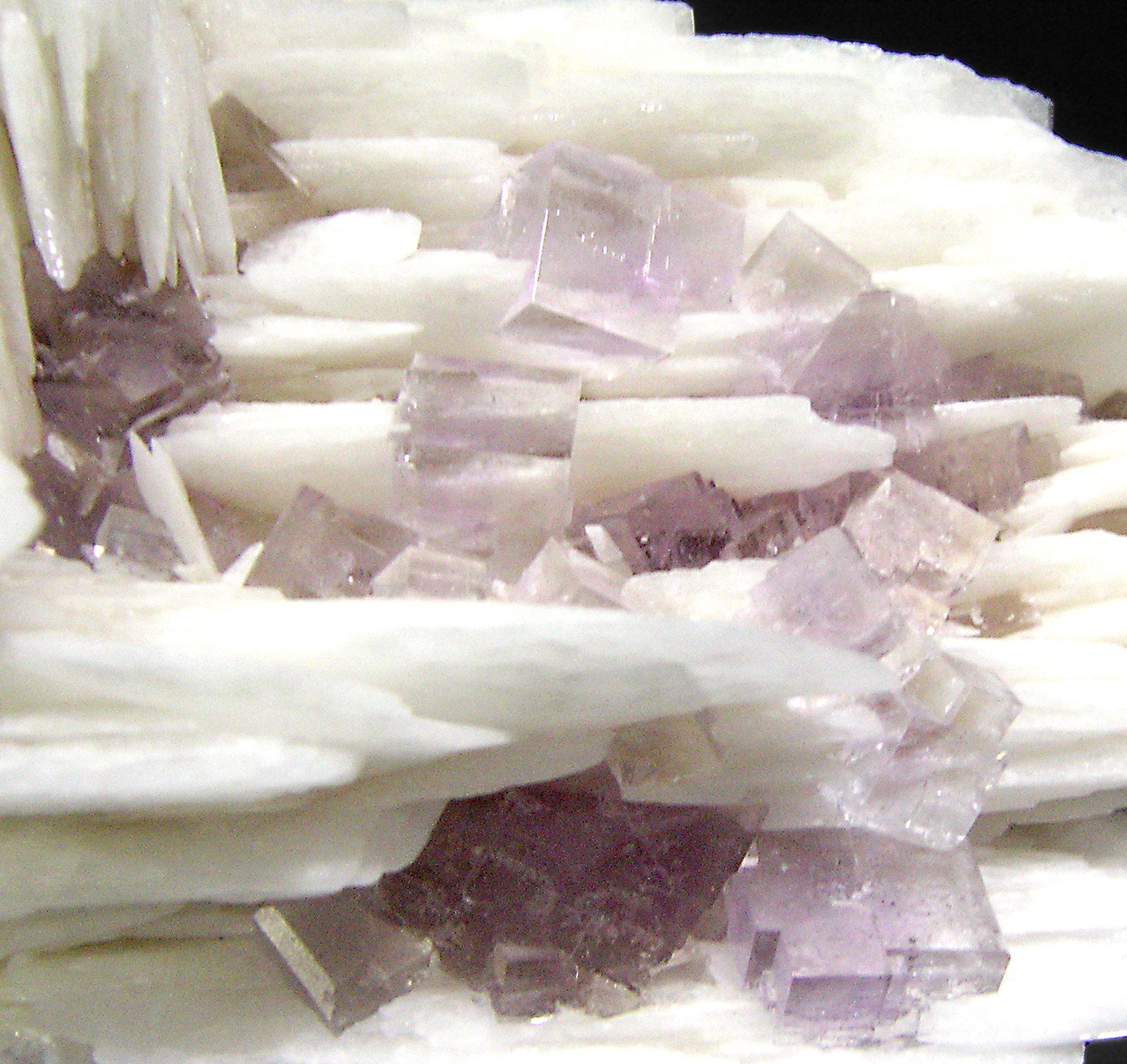 specimens/s_imagesP1/Fluorite-NP63P1d.jpg