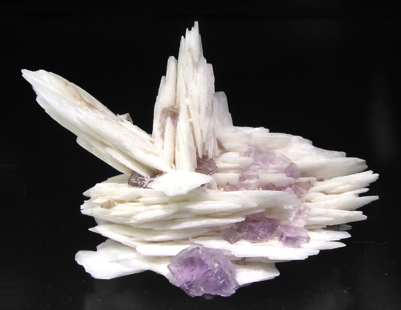specimens/s_imagesP1/Fluorite-NP63P1f.jpg