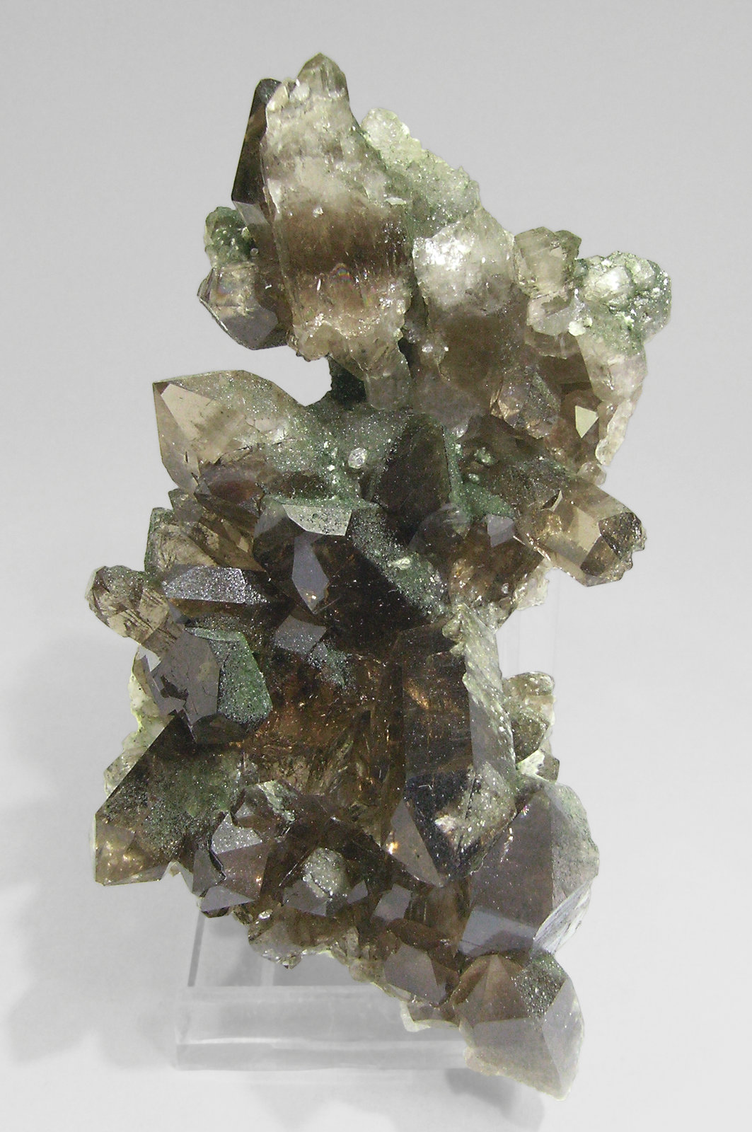 specimens/s_imagesP1/Quartz-RR66P1f.jpg
