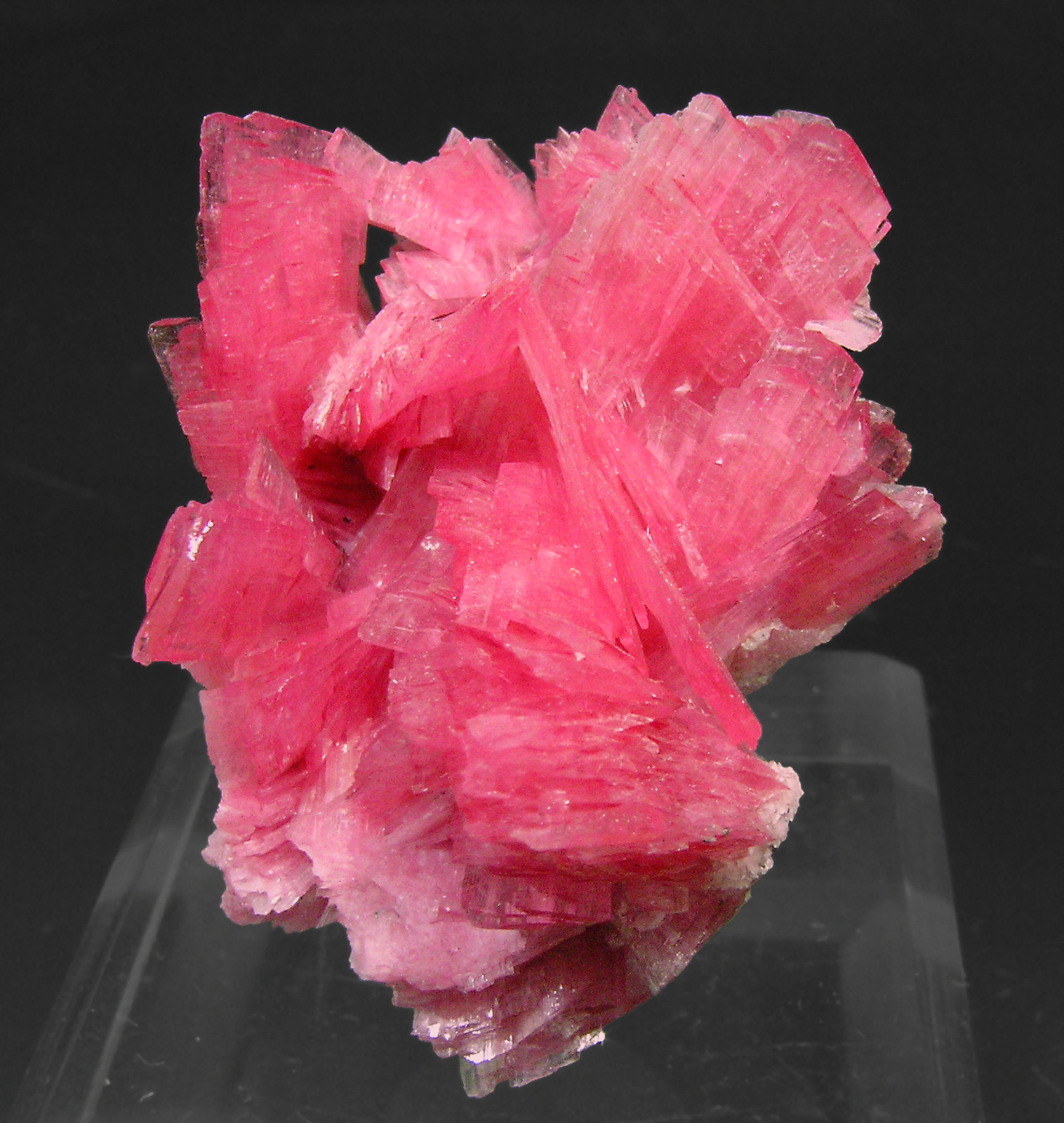 specimens/s_imagesP1/Rhodonite-AA46P1f.jpg