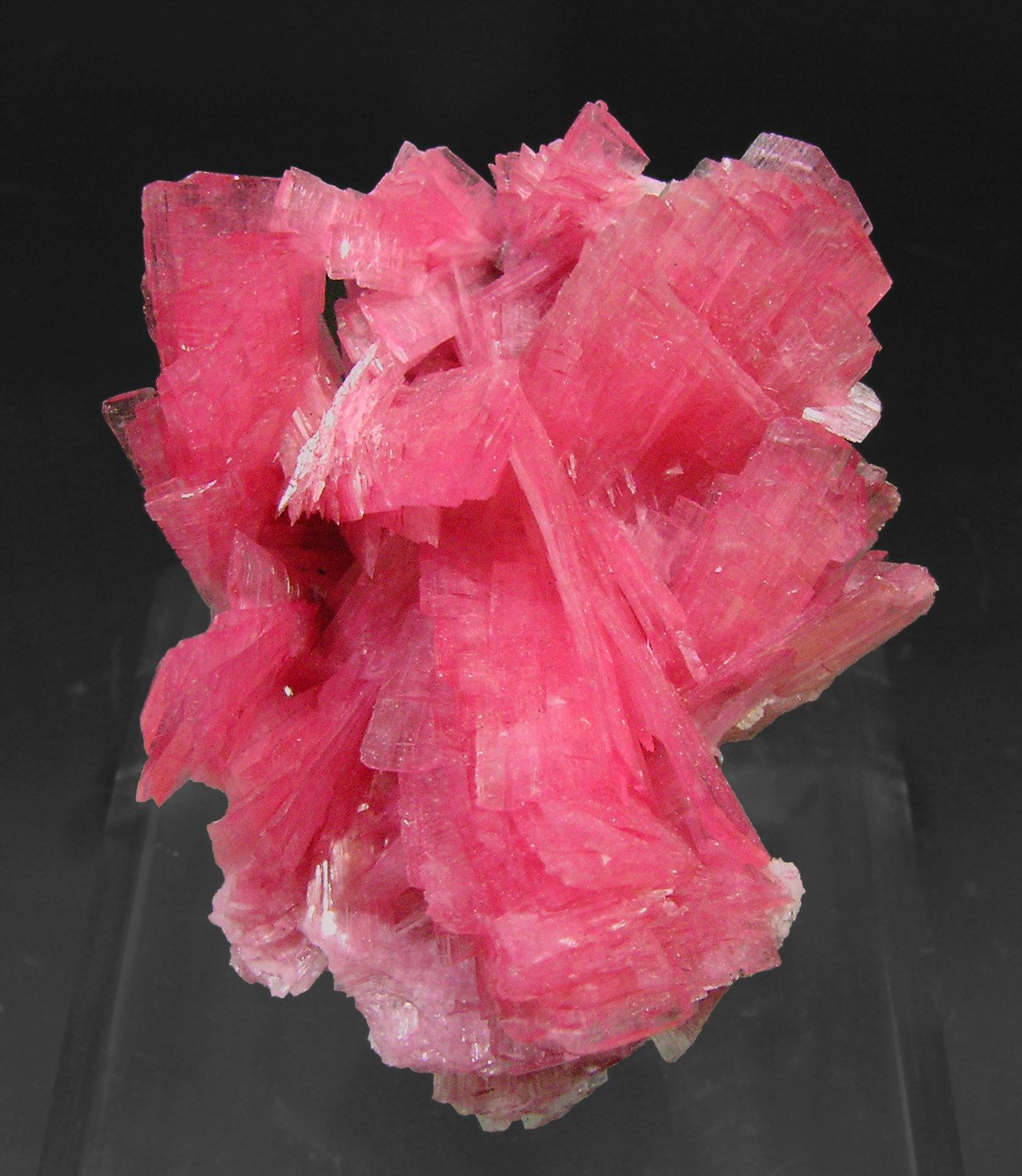 specimens/s_imagesP1/Rhodonite-AA46P1t.jpg