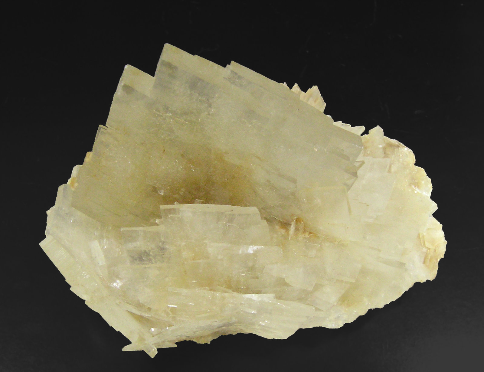 specimens/s_imagesP3/Barite-NC61P3t.jpg