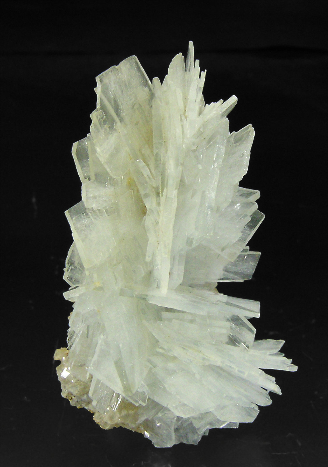 specimens/s_imagesP3/Barite-NQ58P3.jpg