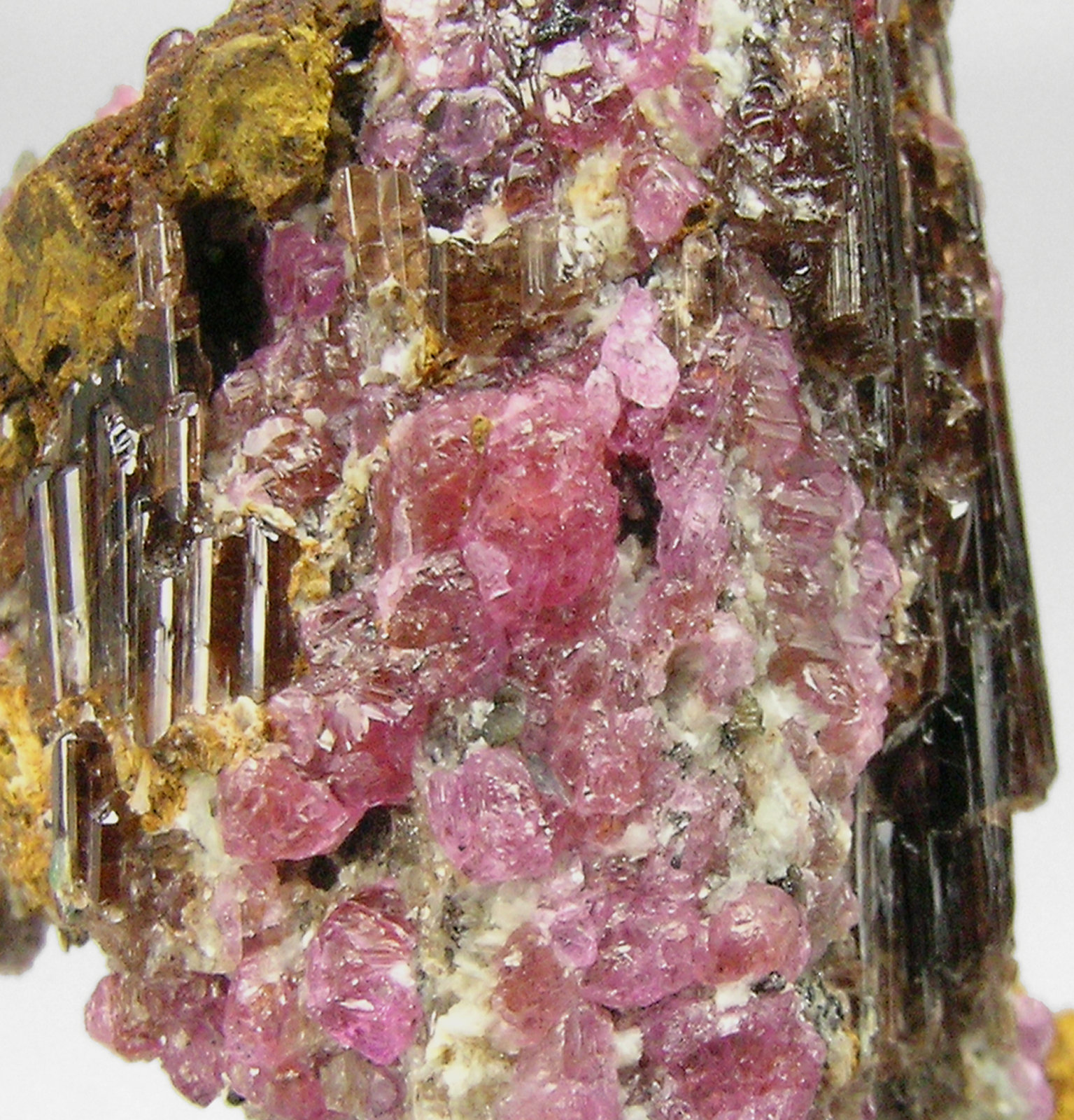 specimens/s_imagesP3/Painite-EQ64P3fd2.jpg