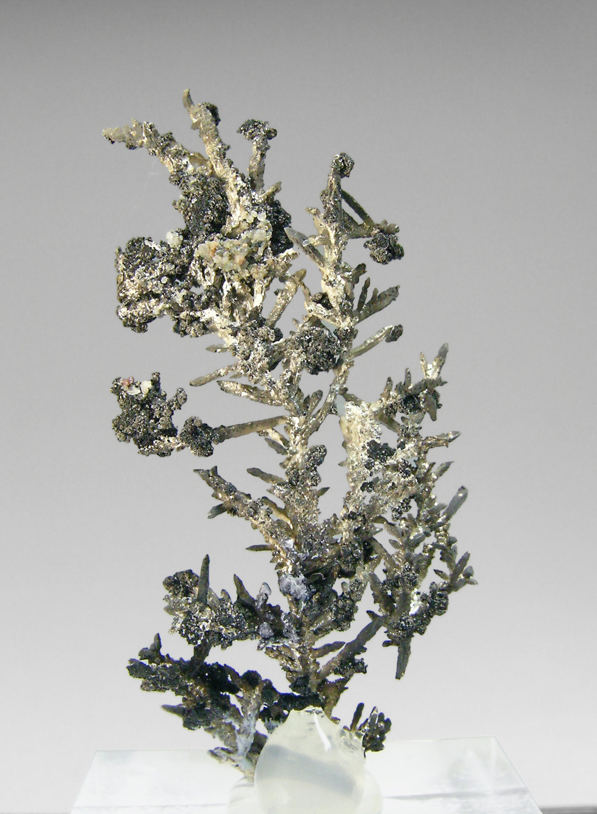 specimens/s_imagesP4/Silver-AC16P4r.jpg
