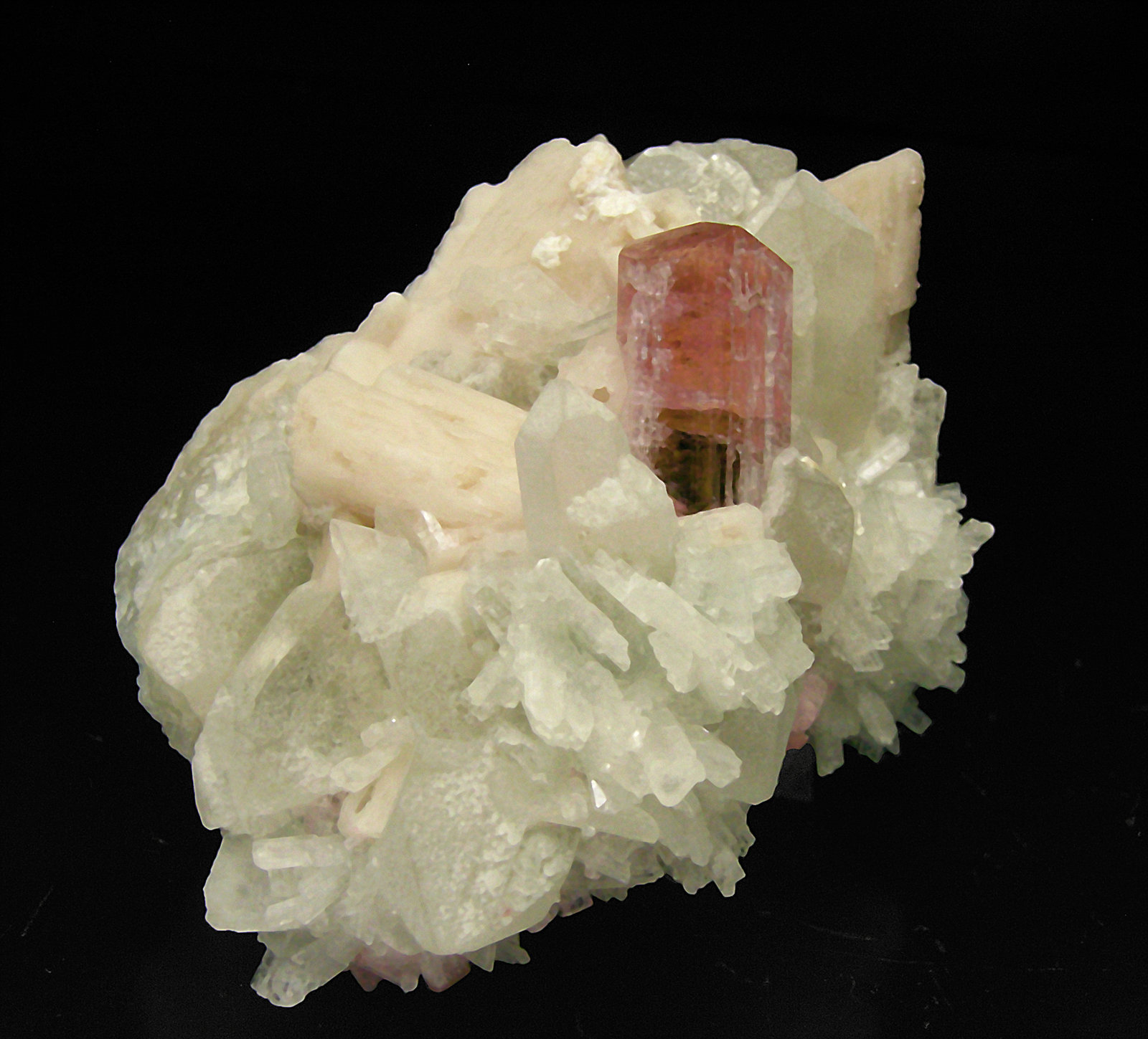 specimens/s_imagesP5/Elbaita-rubelite-ML76P5f.jpg