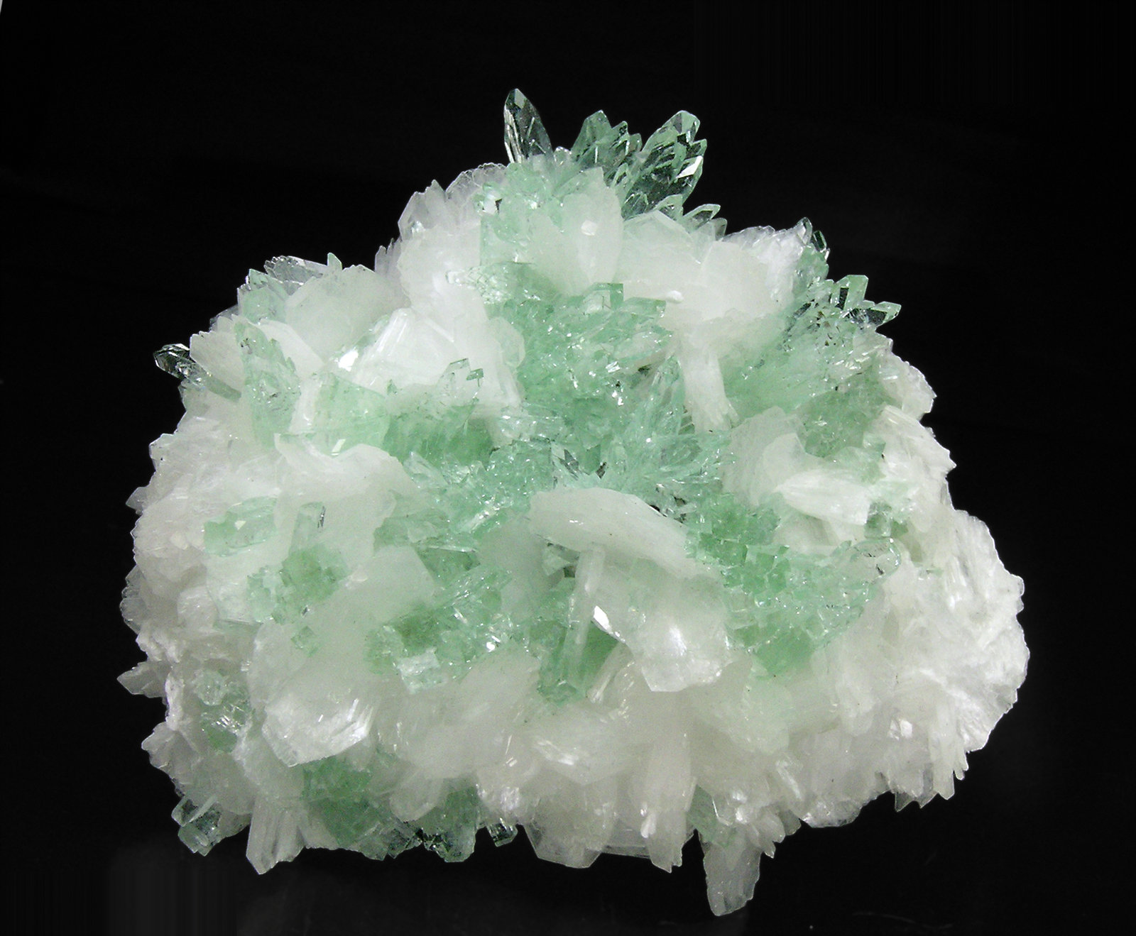 specimens/s_imagesP6/Apophyllite_KF-MA86P6f.jpg