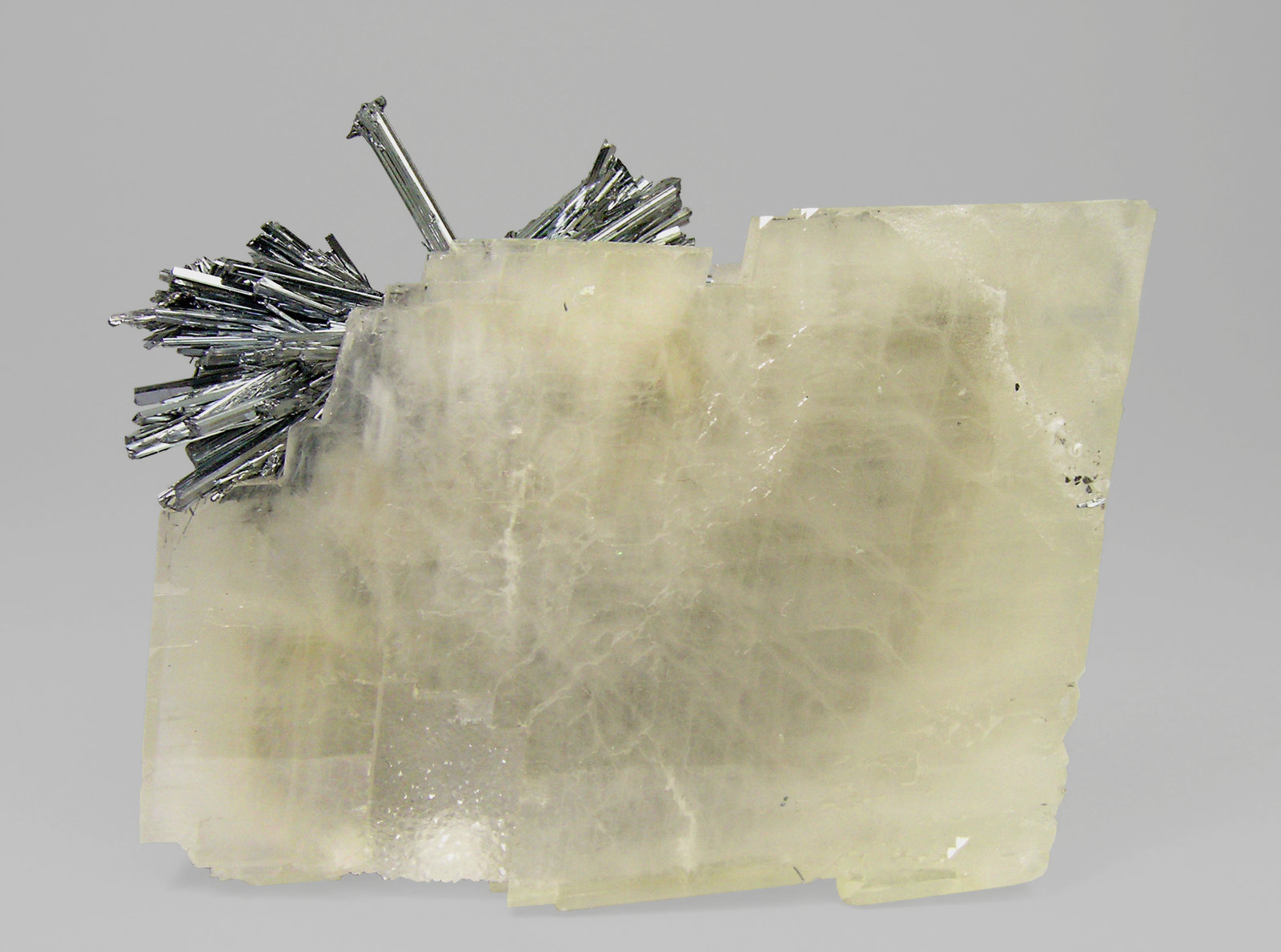 specimens/s_imagesP6/Barite-ER69P6f.jpg