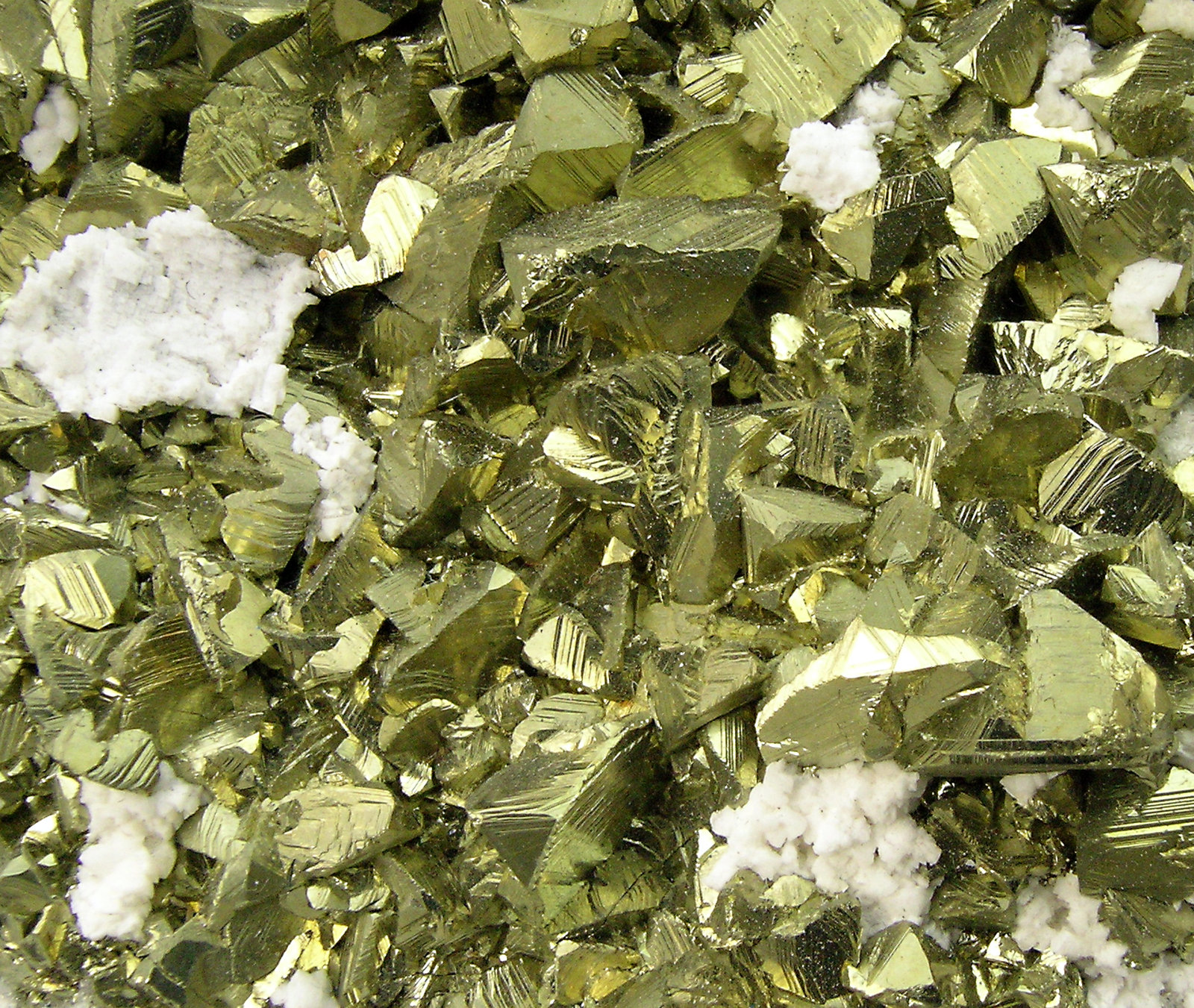 specimens/s_imagesP6/Chalcopyrite-ER49P6d2.jpg