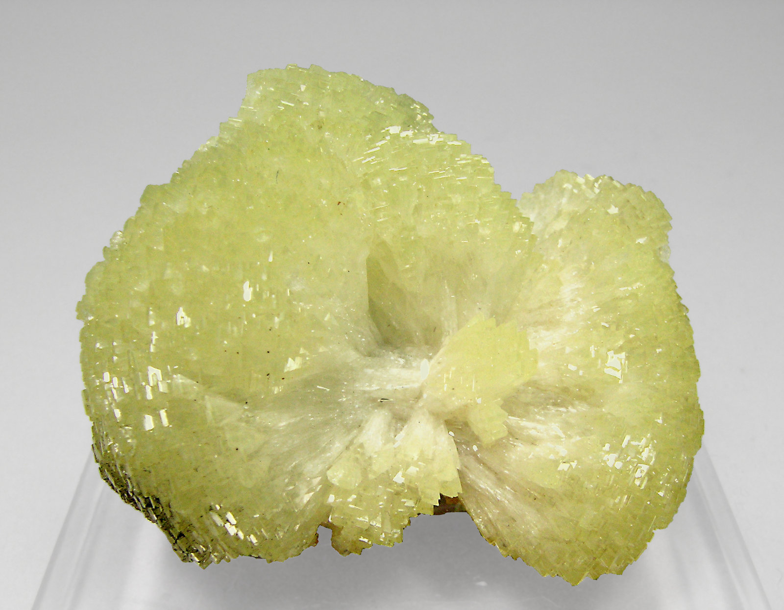 specimens/s_imagesP8/Adamite-RB63P8.jpg