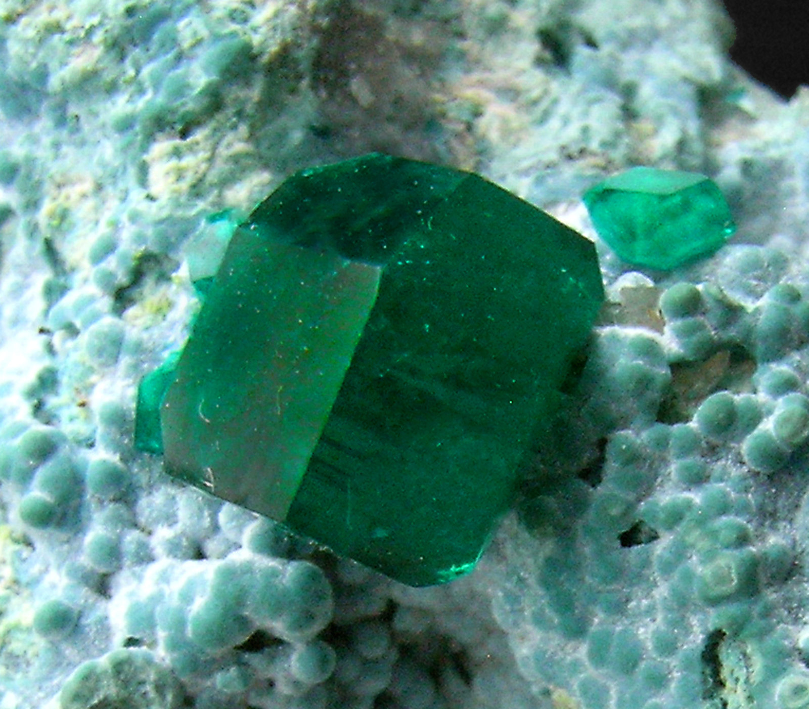 specimens/s_imagesP8/Dioptase-NR56P8d1.jpg