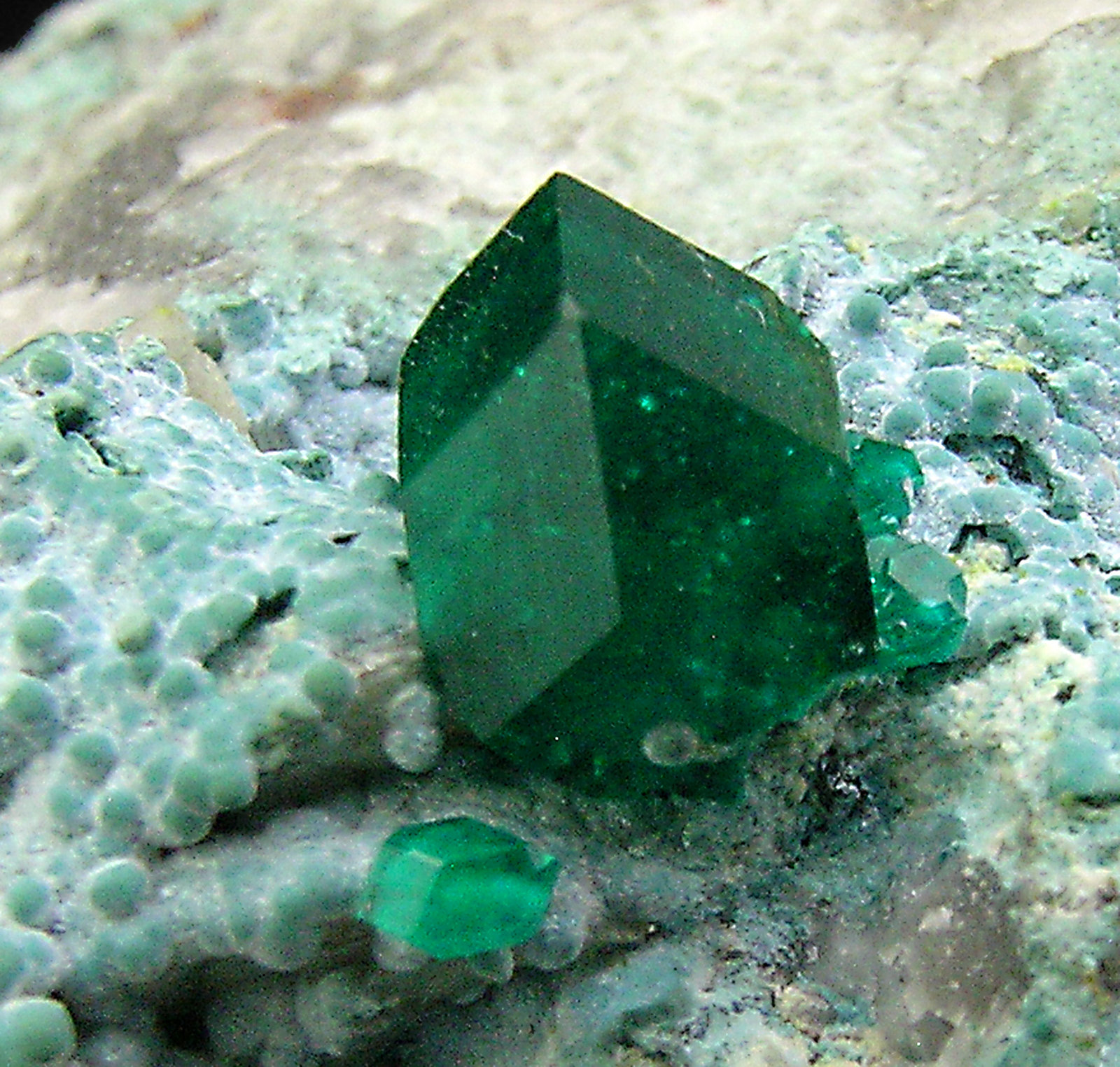 specimens/s_imagesP8/Dioptase-NR56P8d2.jpg