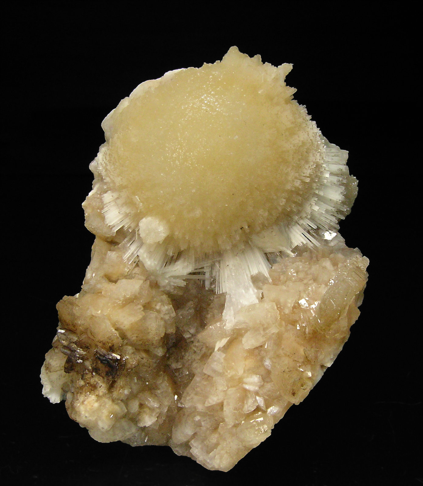 specimens/s_imagesP8/Mesolite-MC14P8.jpg