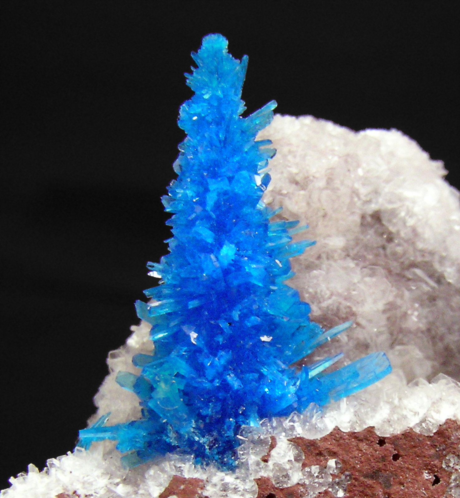 specimens/s_imagesP8/Pentagonite-MM6P8d.jpg