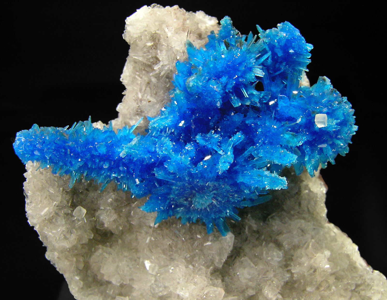 specimens/s_imagesP8/Pentagonite-MP96P8d.jpg