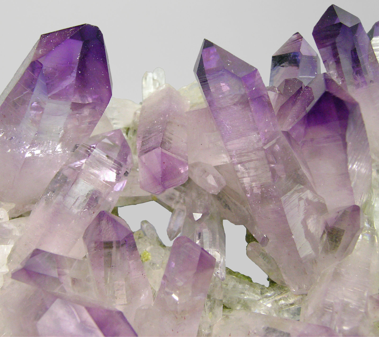 specimens/s_imagesP8/Quartz_Amethyst-RC99P8d.jpg