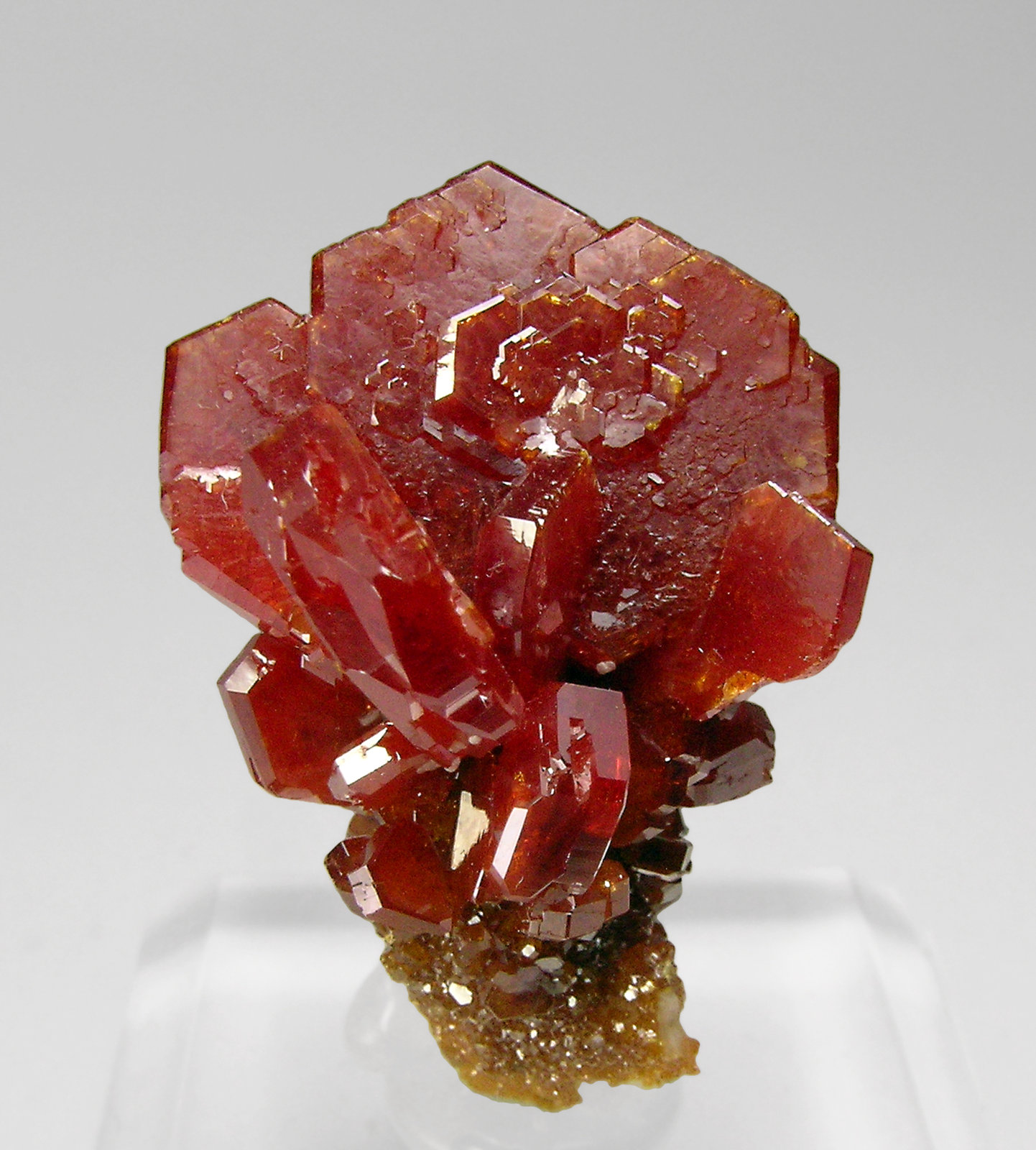 specimens/s_imagesP8/Vanadinite-EJ66P8f.jpg