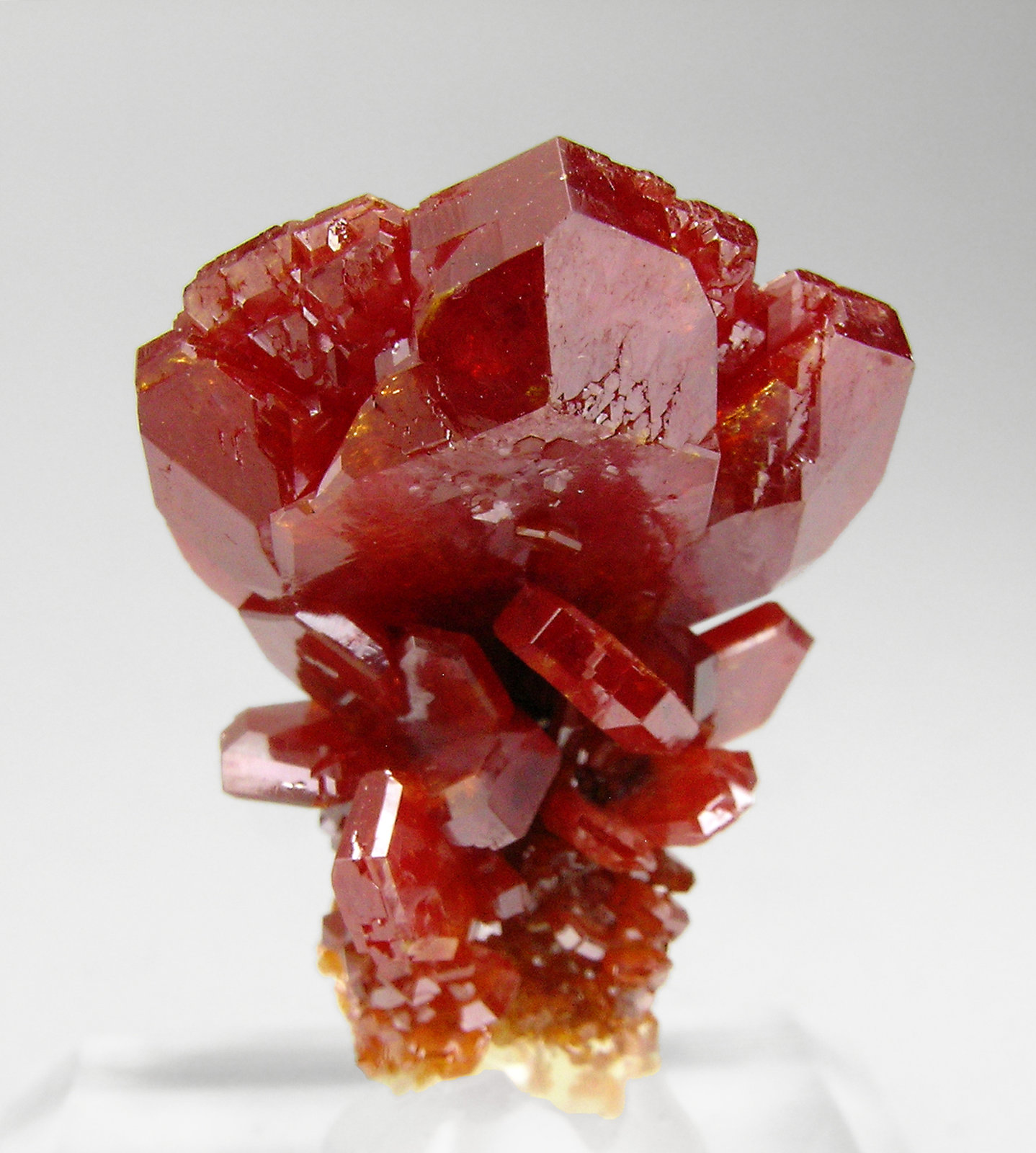 specimens/s_imagesP8/Vanadinite-EJ66P8r.jpg