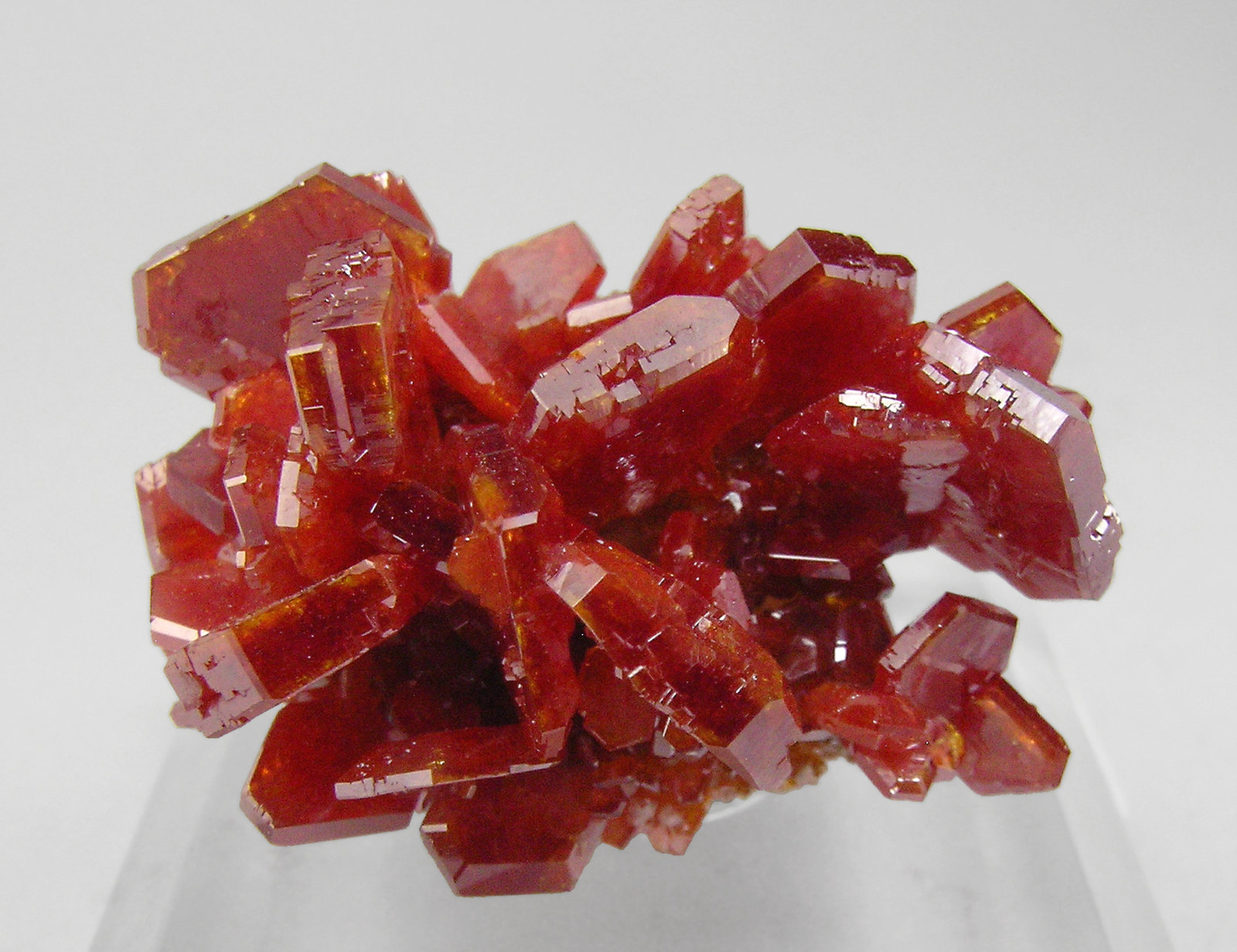 specimens/s_imagesP8/Vanadinite-EK66P8f.jpg