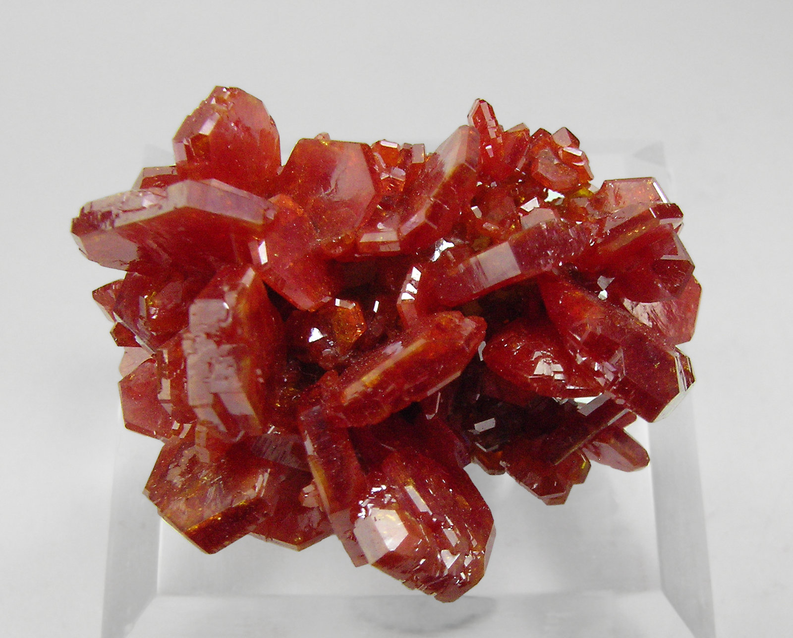 specimens/s_imagesP8/Vanadinite-EK66P8t.jpg