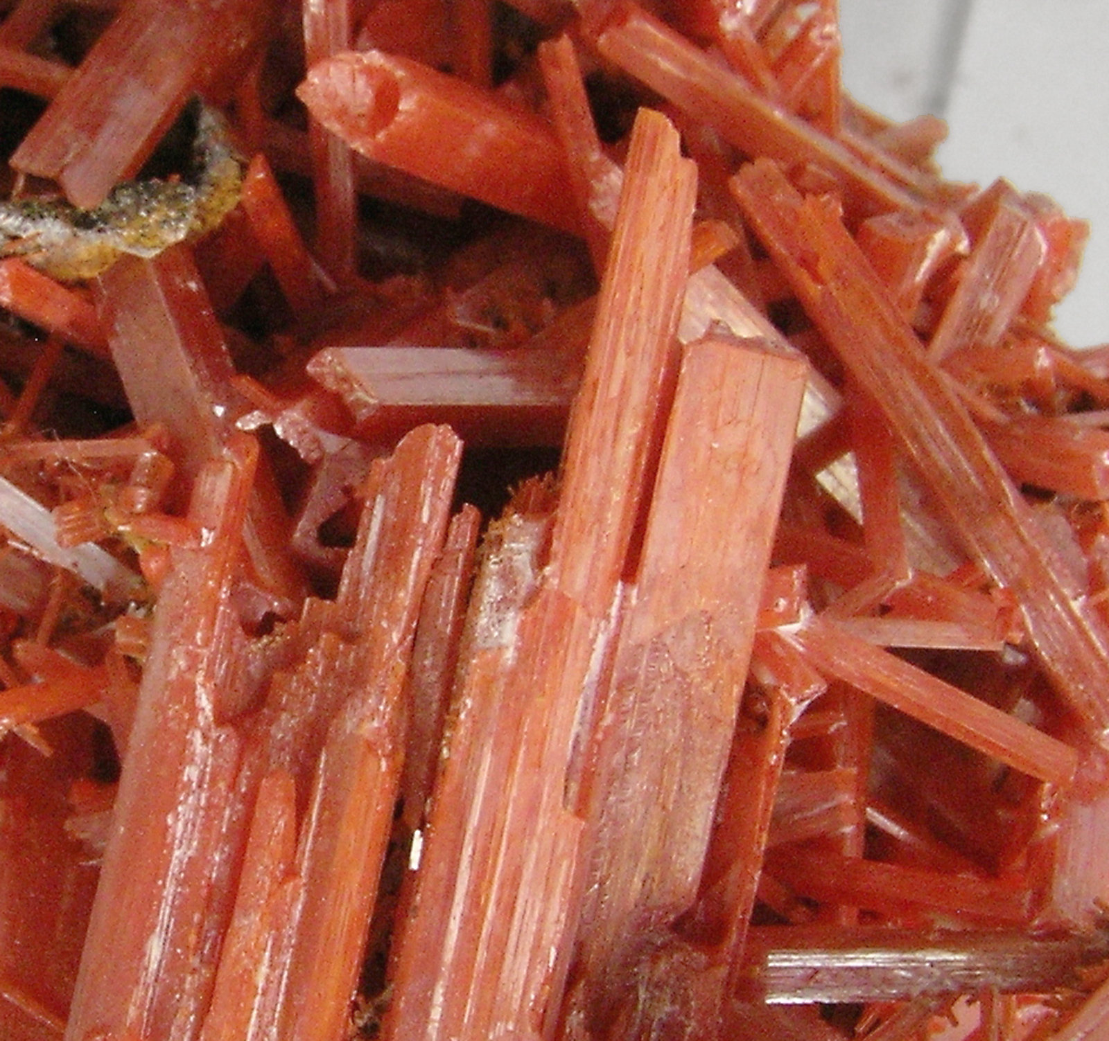specimens/s_imagesP9/Crocoite-AM76P9d.jpg