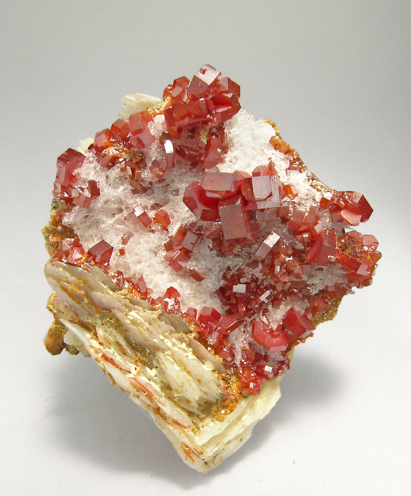 specimens/s_imagesP9/Vanadinite-ED76P9s.jpg