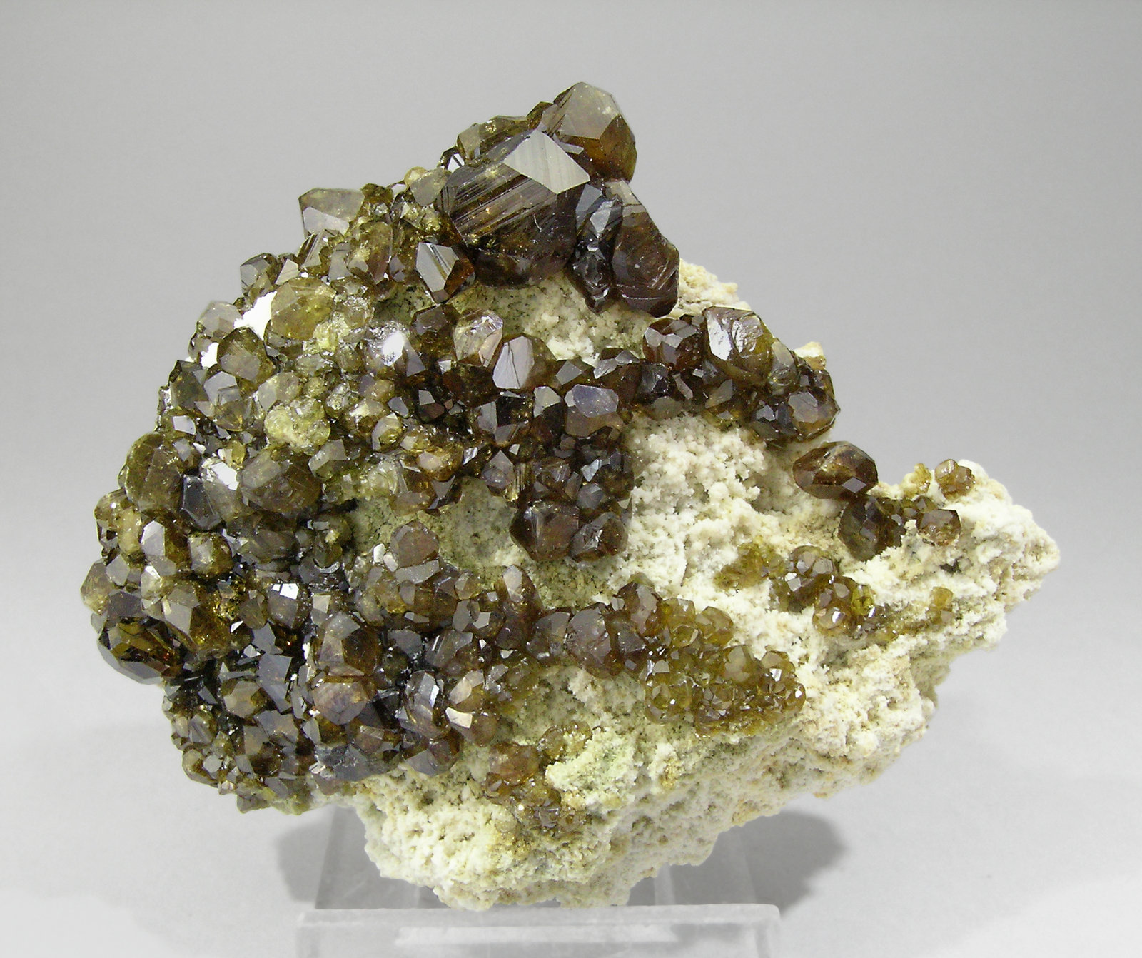 specimens/s_imagesQ0/Andradite_Topazolite-TQ94Q0f.jpg