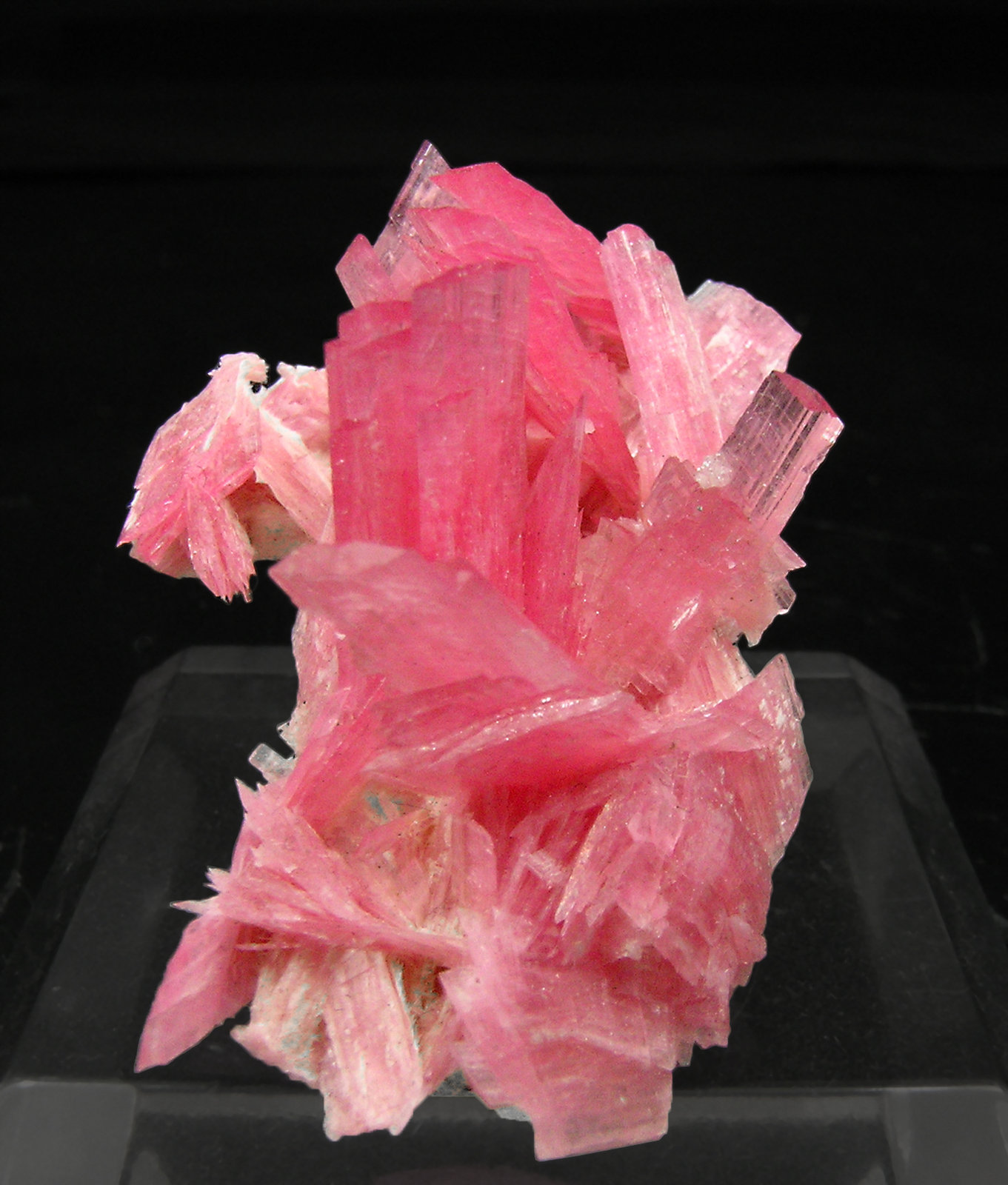 specimens/s_imagesQ0/Rhodonite-TY64Q0f.jpg