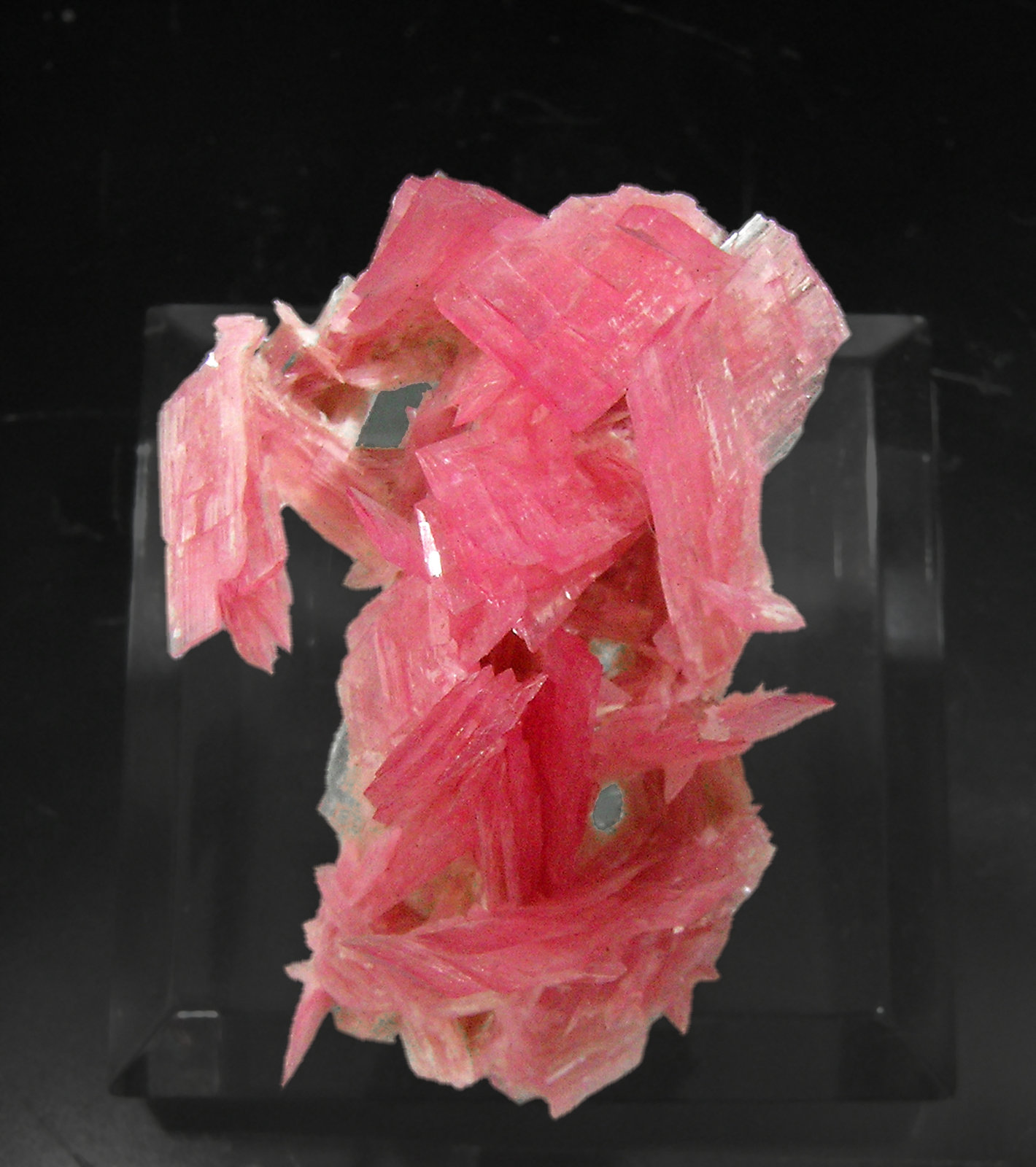 specimens/s_imagesQ0/Rhodonite-TY64Q0t.jpg