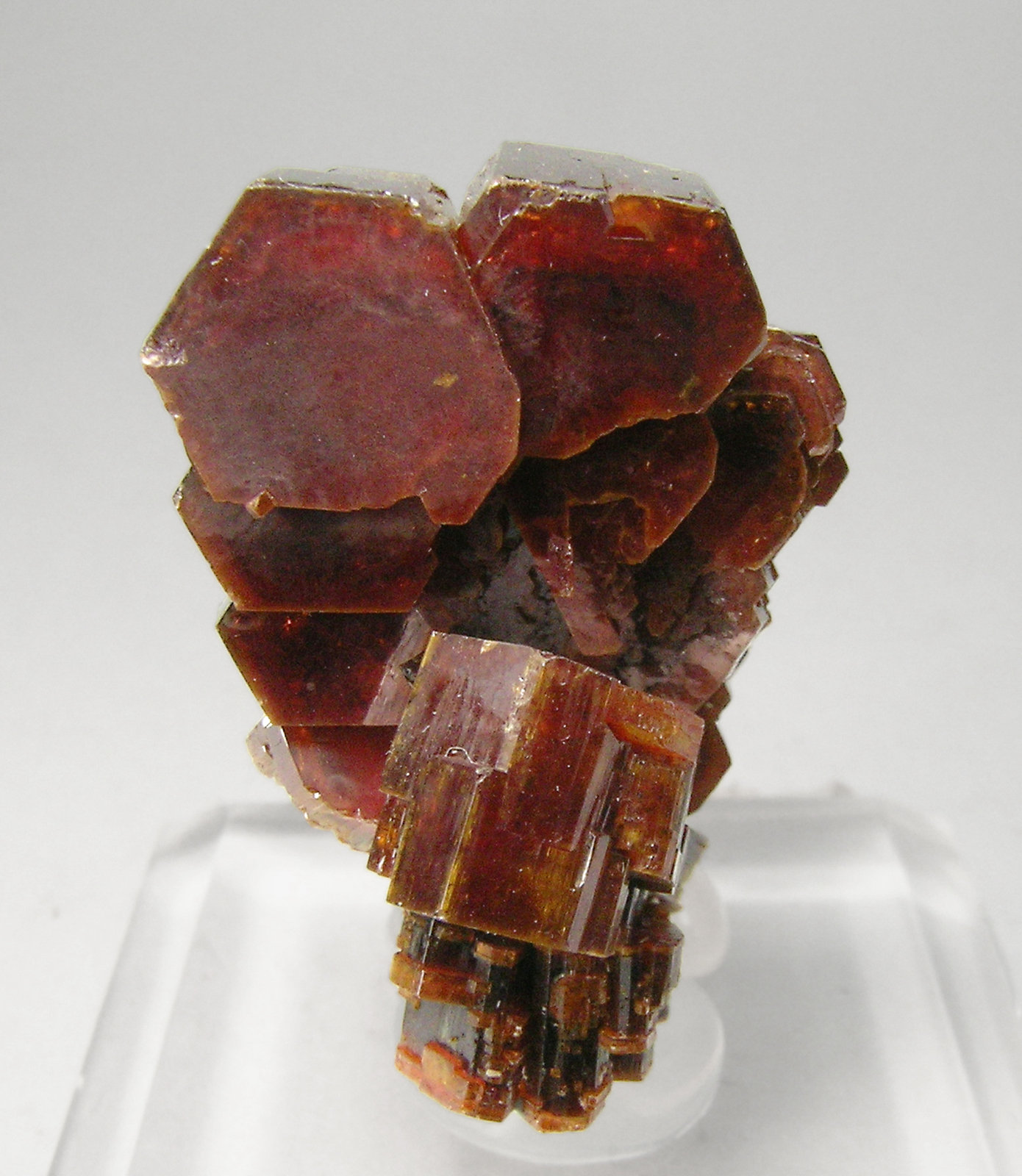 specimens/s_imagesQ1/Vanadinite-Gf36Q1f.jpg