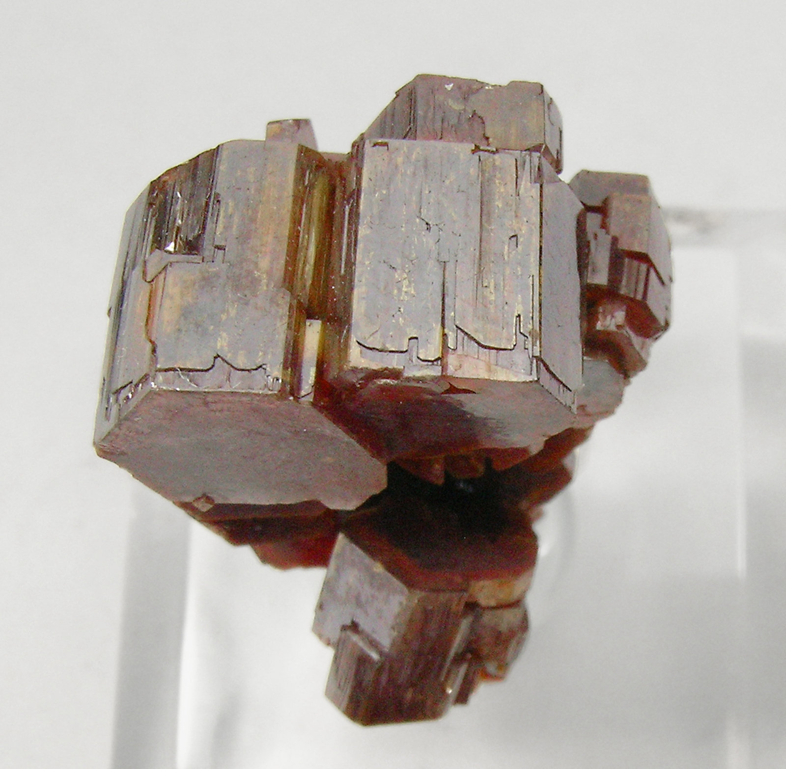 specimens/s_imagesQ1/Vanadinite-Gf36Q1t.jpg