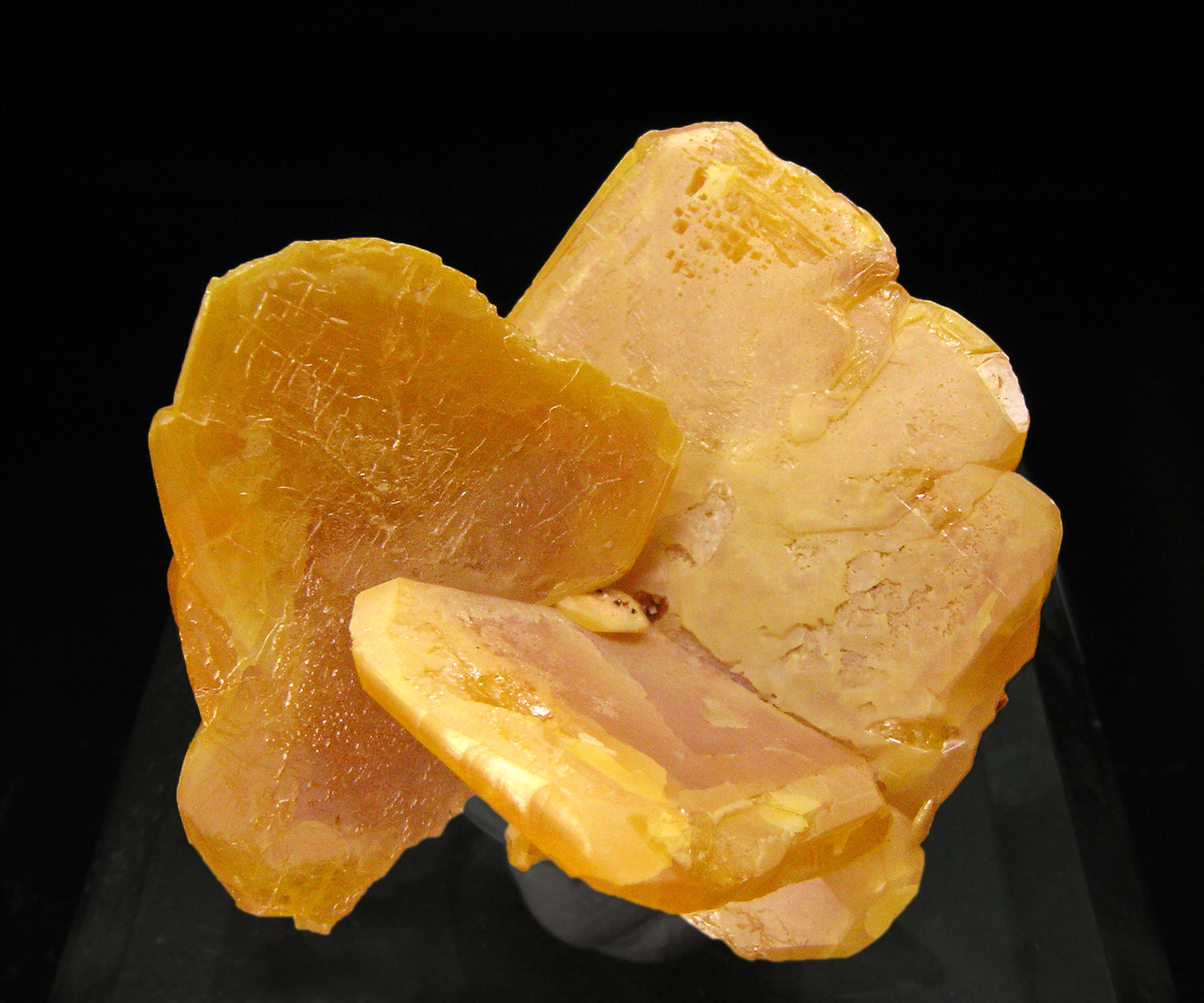 specimens/s_imagesQ1/Wulfenite-TR47Q1f.jpg