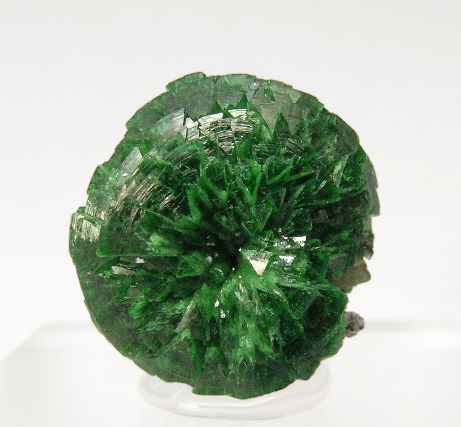 specimens/s_imagesQ3/Cuprian_Adamite-TJ48Q3f.jpg