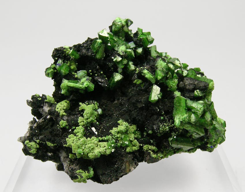 specimens/s_imagesQ3/Cuprian_Adamite-TV97Q3f.jpg