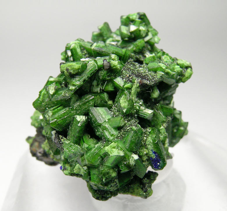 specimens/s_imagesQ3/Cuprian_Adamite-TV97Q3s.jpg