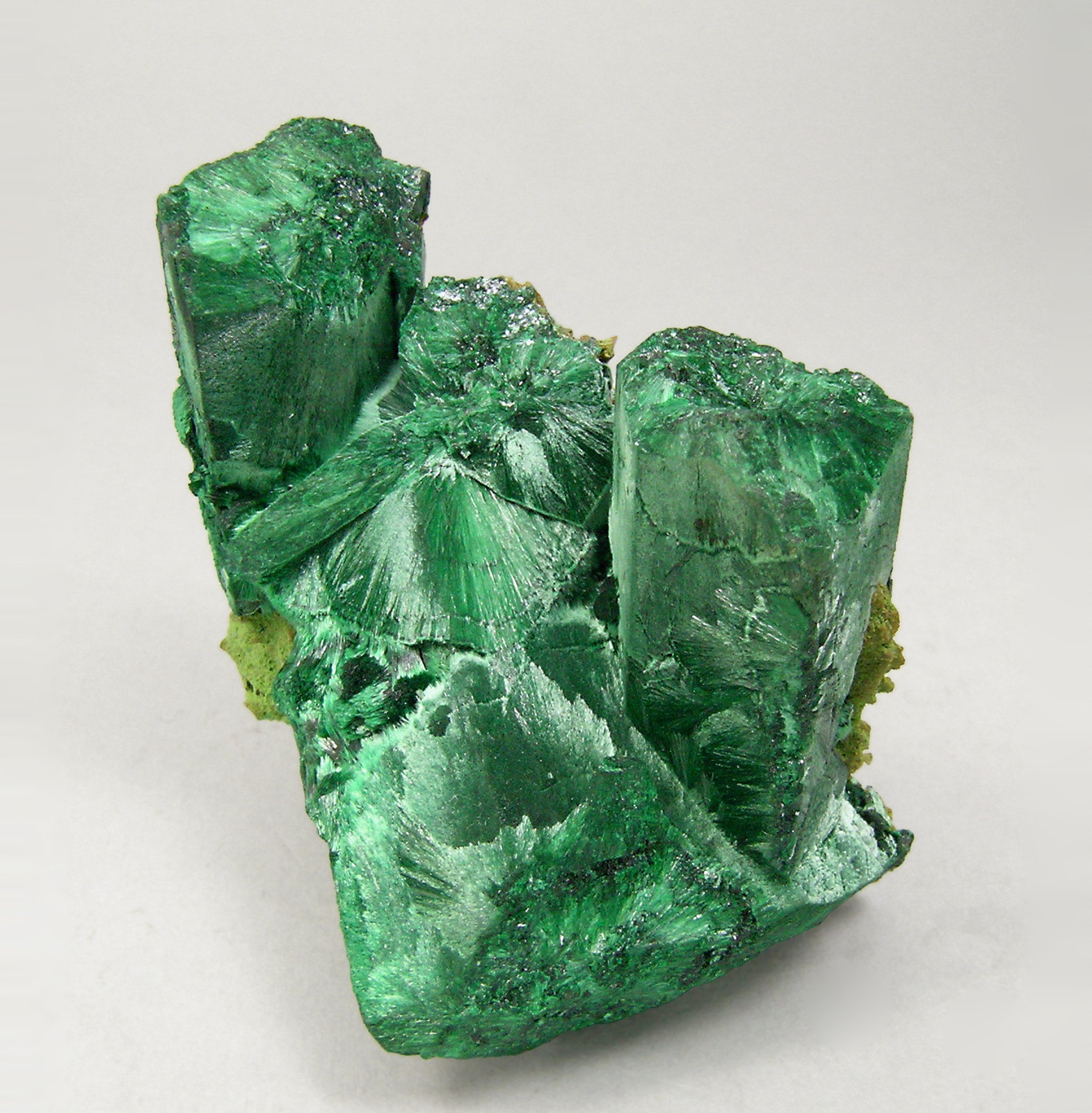 specimens/s_imagesQ3/Malachite-TM68Q3f.jpg