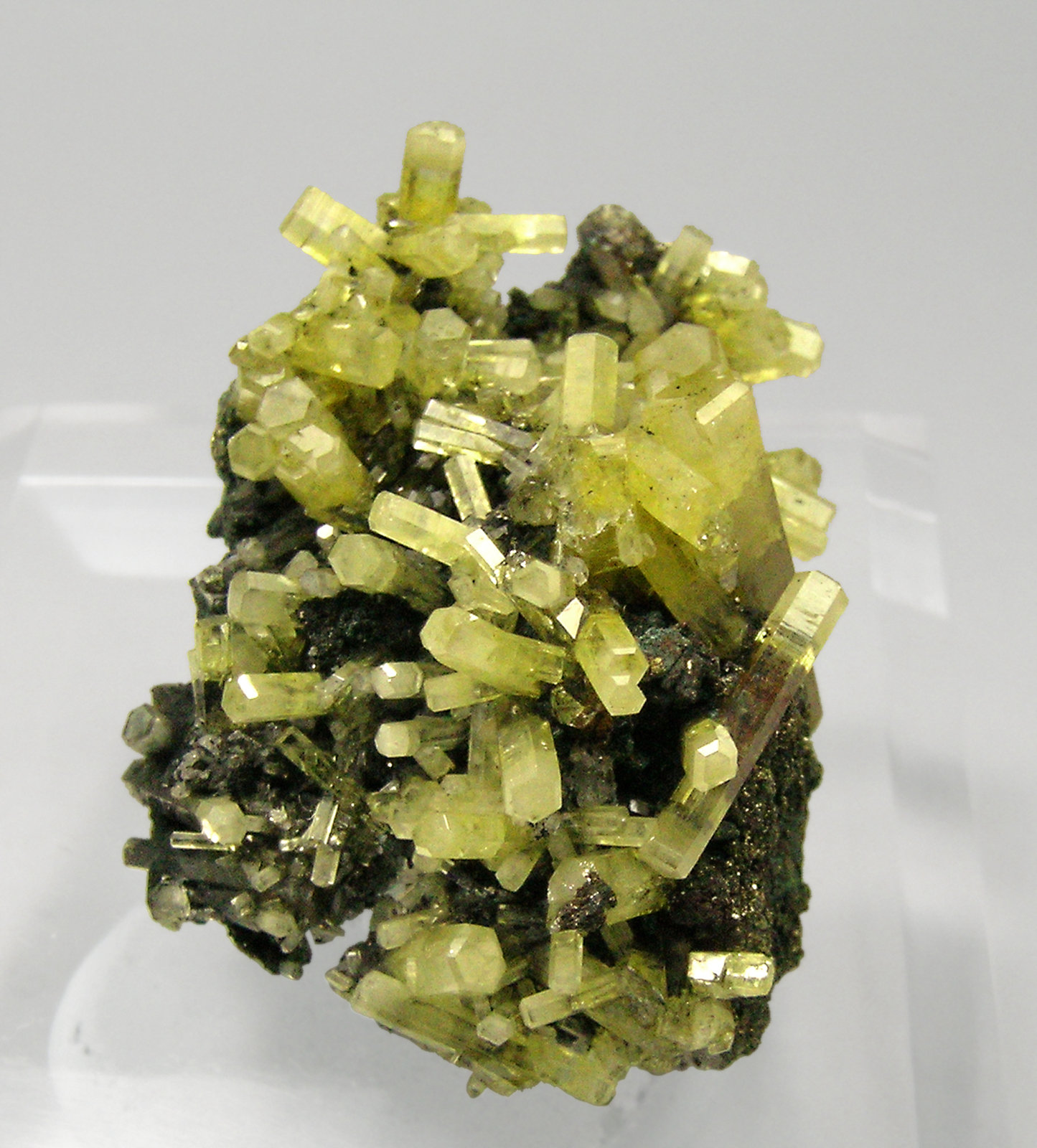 specimens/s_imagesQ3/Mimetite-TA97Q3f.jpg