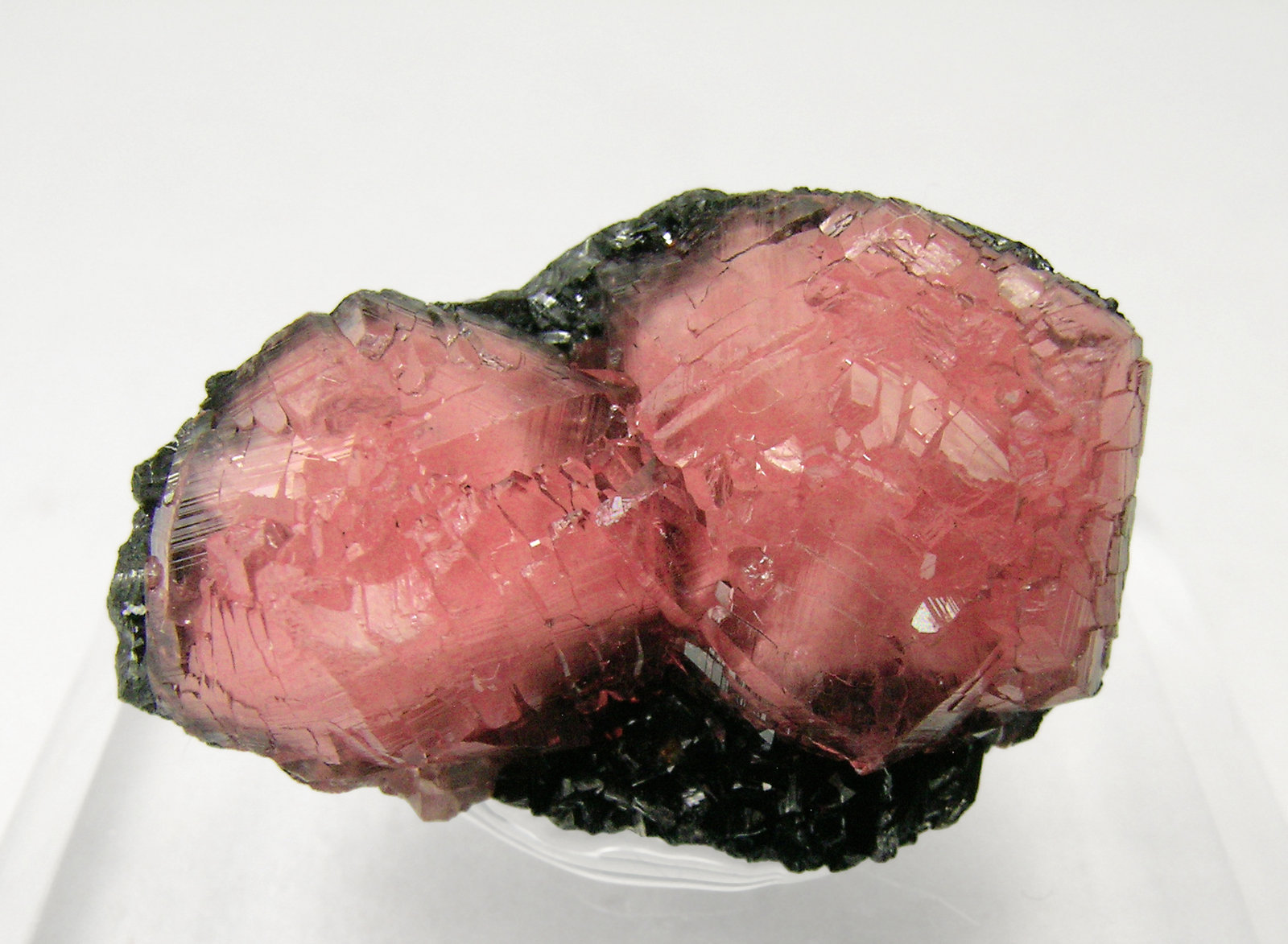 specimens/s_imagesQ3/Rhodochrosite-TK98Q3.jpg