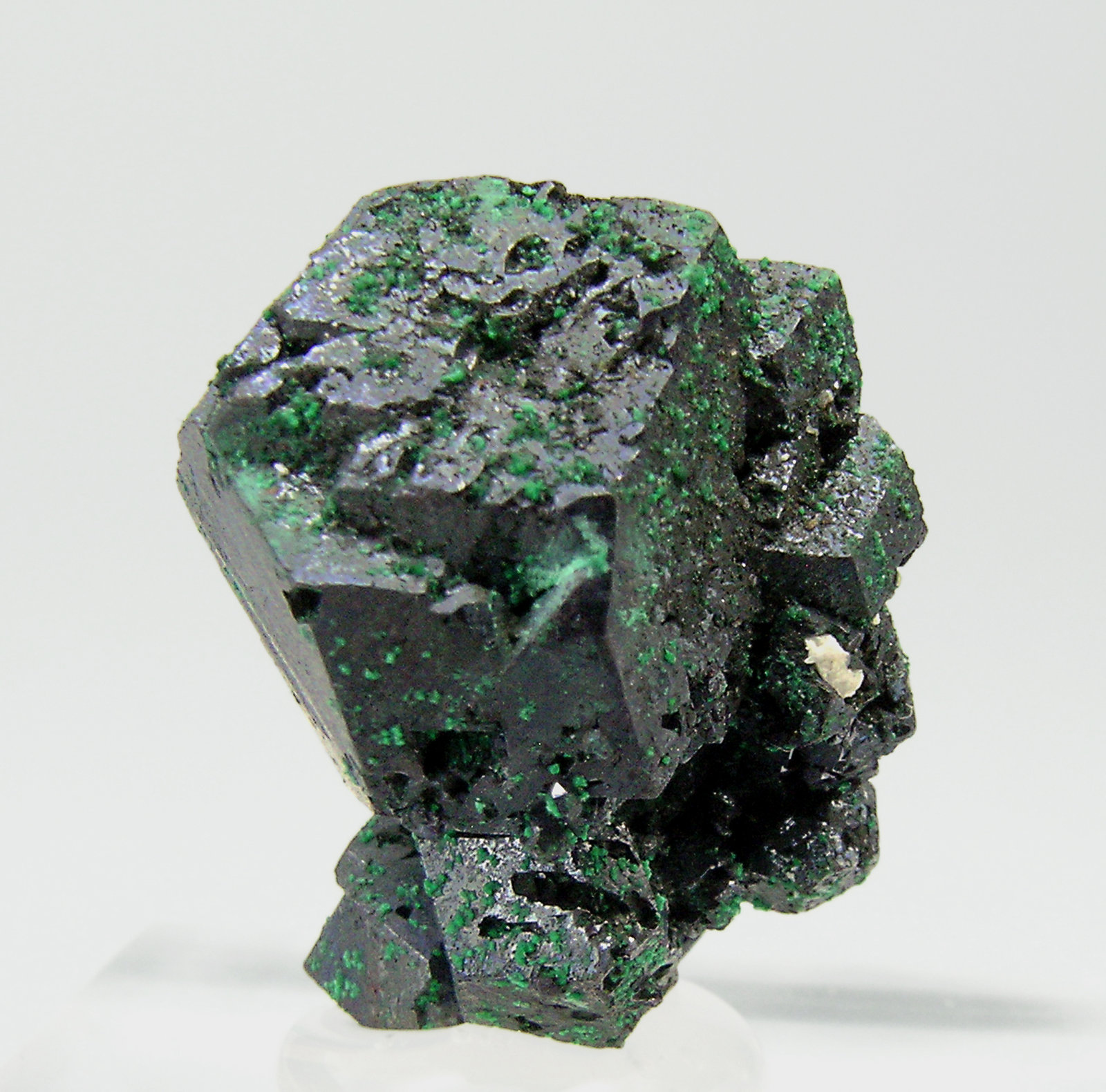 specimens/s_imagesQ5/Cuprite-TC27Q5r.jpg