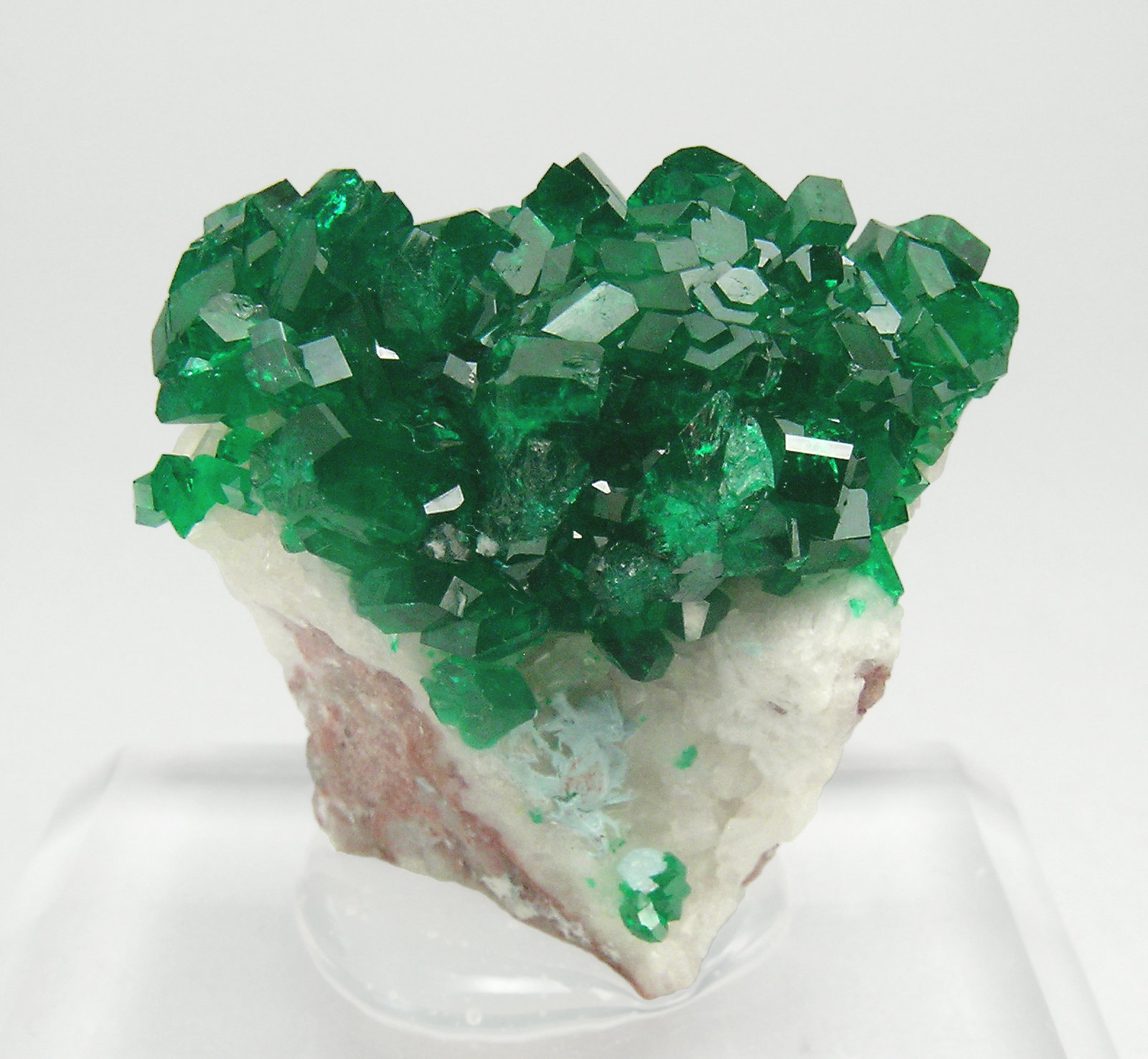 specimens/s_imagesQ5/Dioptase-TF47Q5r.jpg