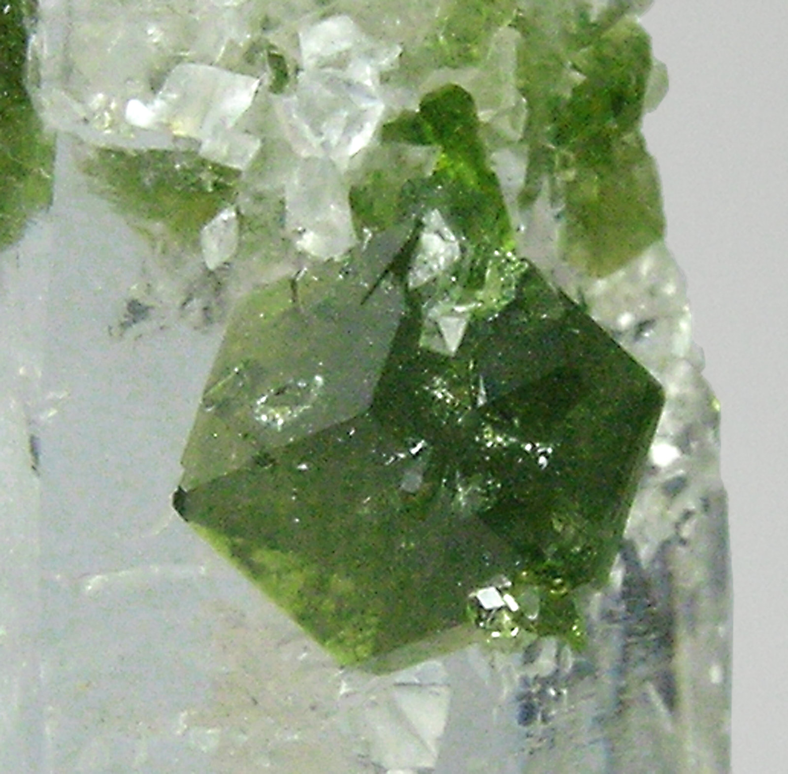 specimens/s_imagesQ5/Quartz-GF64Q5d2.jpg