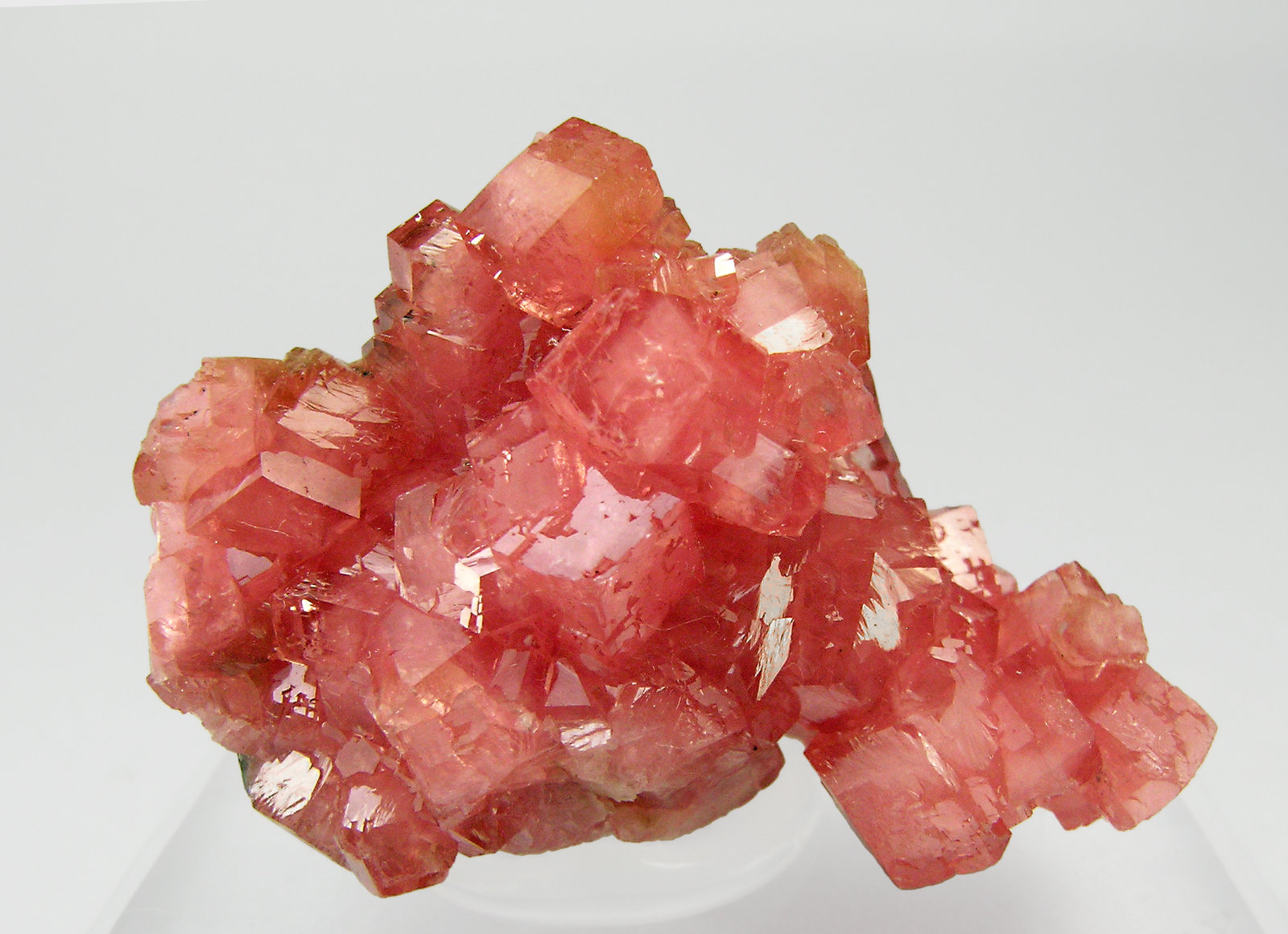 specimens/s_imagesQ5/Rhodochrosite-TC57Q5f.jpg