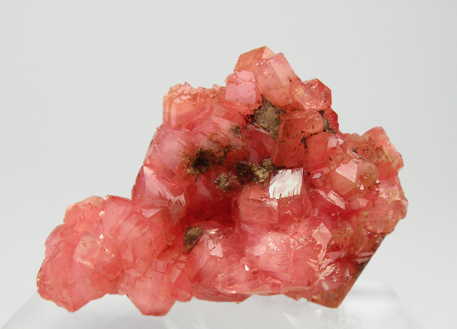 specimens/s_imagesQ5/Rhodochrosite-TC57Q5r.jpg