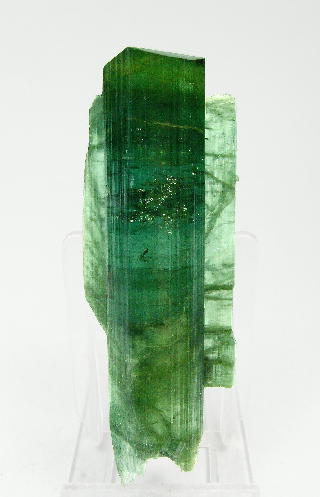 specimens/s_imagesQ6/Elbaite-TK26Q6f.jpg
