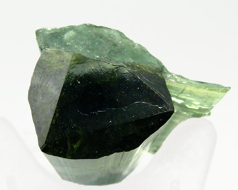 specimens/s_imagesQ6/Elbaite-TK26Q6t.jpg