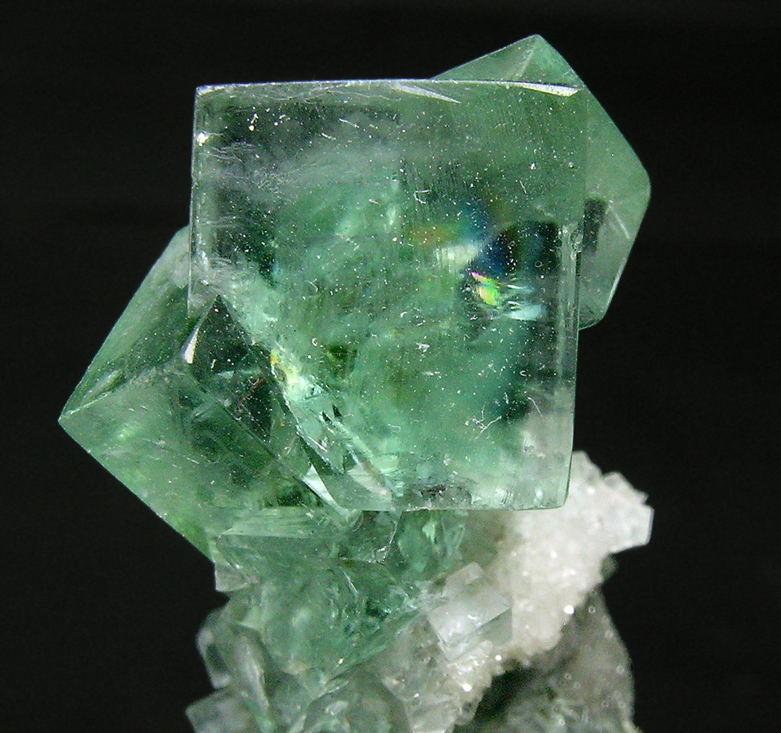specimens/s_imagesQ6/Fluorite-AP63Q6d.jpg