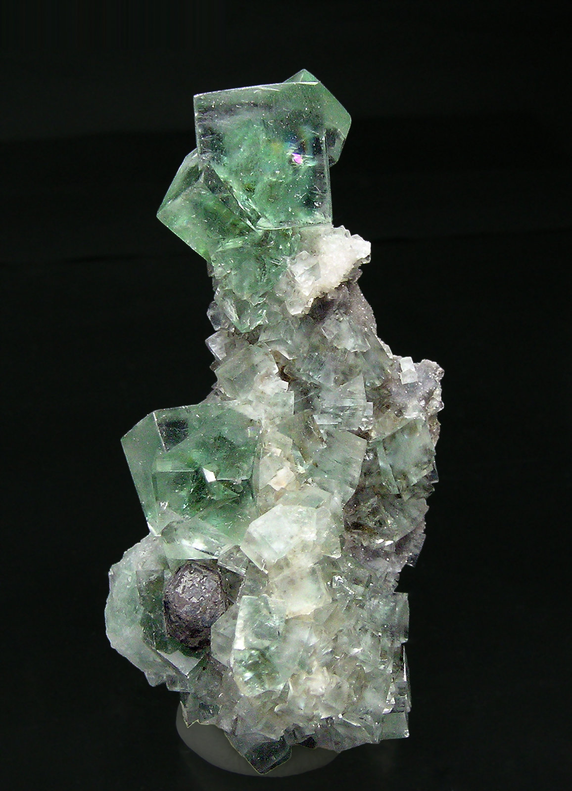 specimens/s_imagesQ6/Fluorite-AP63Q6f.jpg