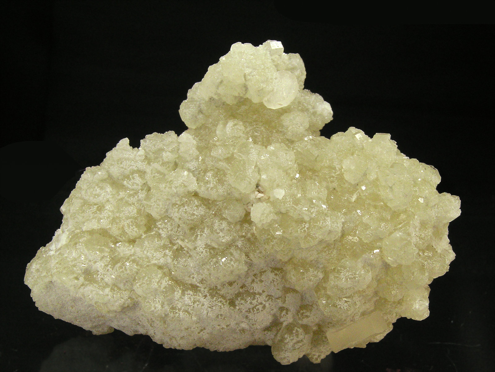 specimens/s_imagesQ6/Prehnite-AQ8Q6r.jpg